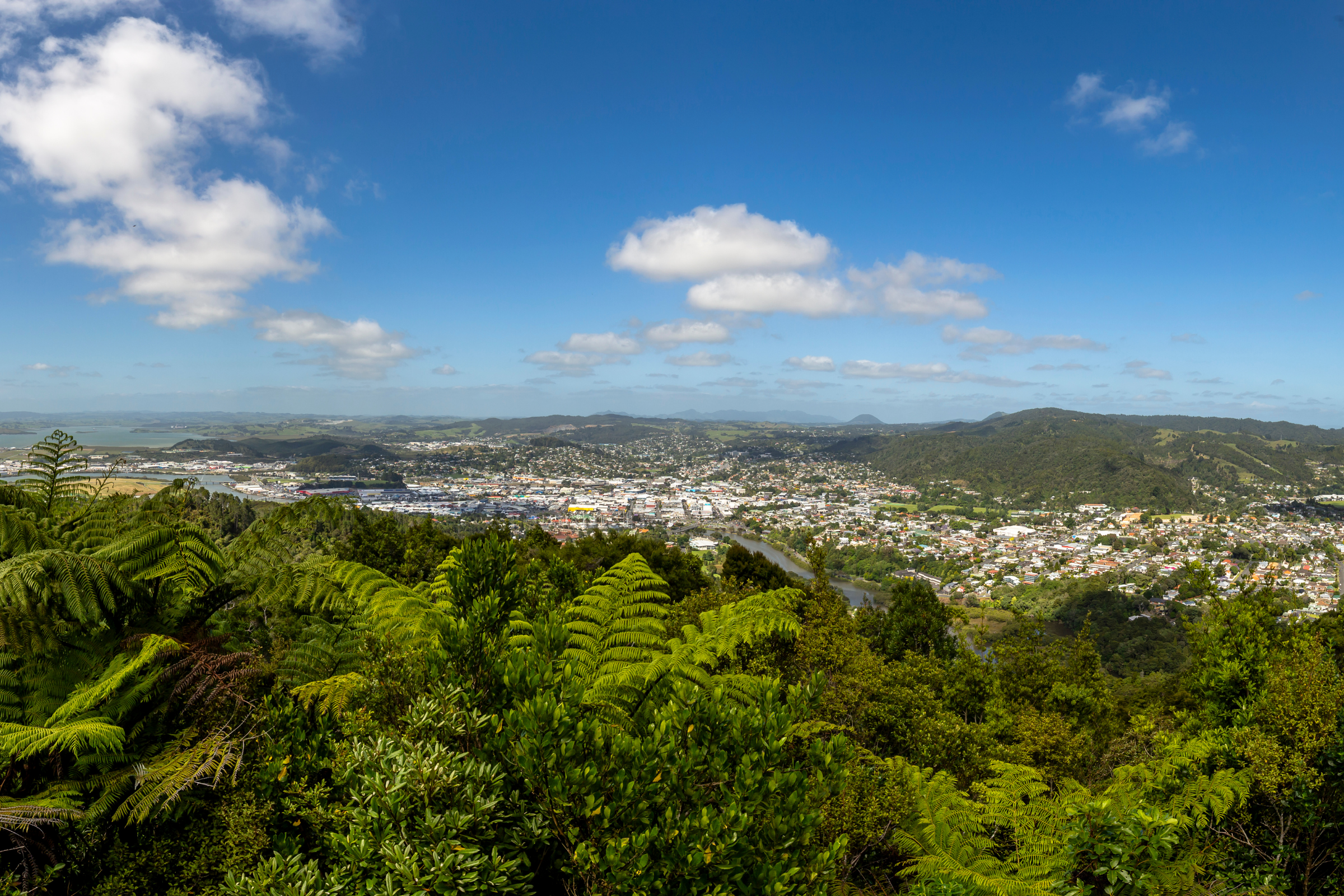 whangarei_01.webp