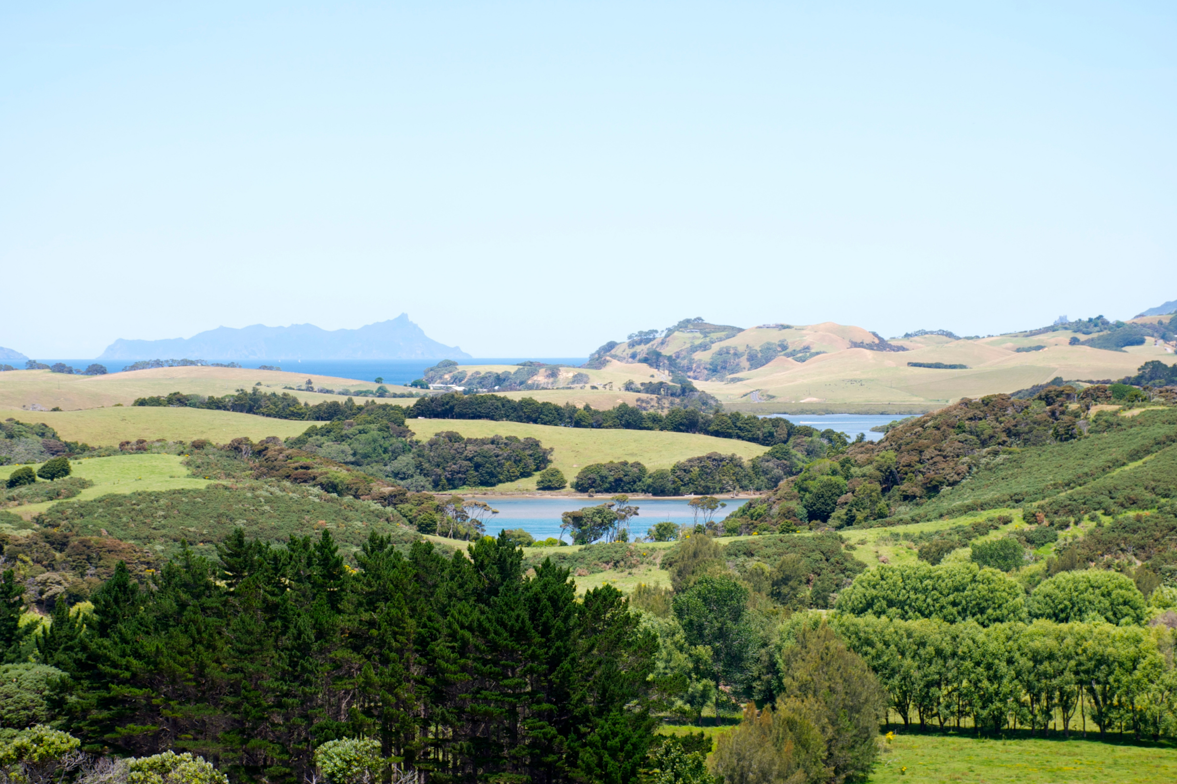 whangarei_02.webp