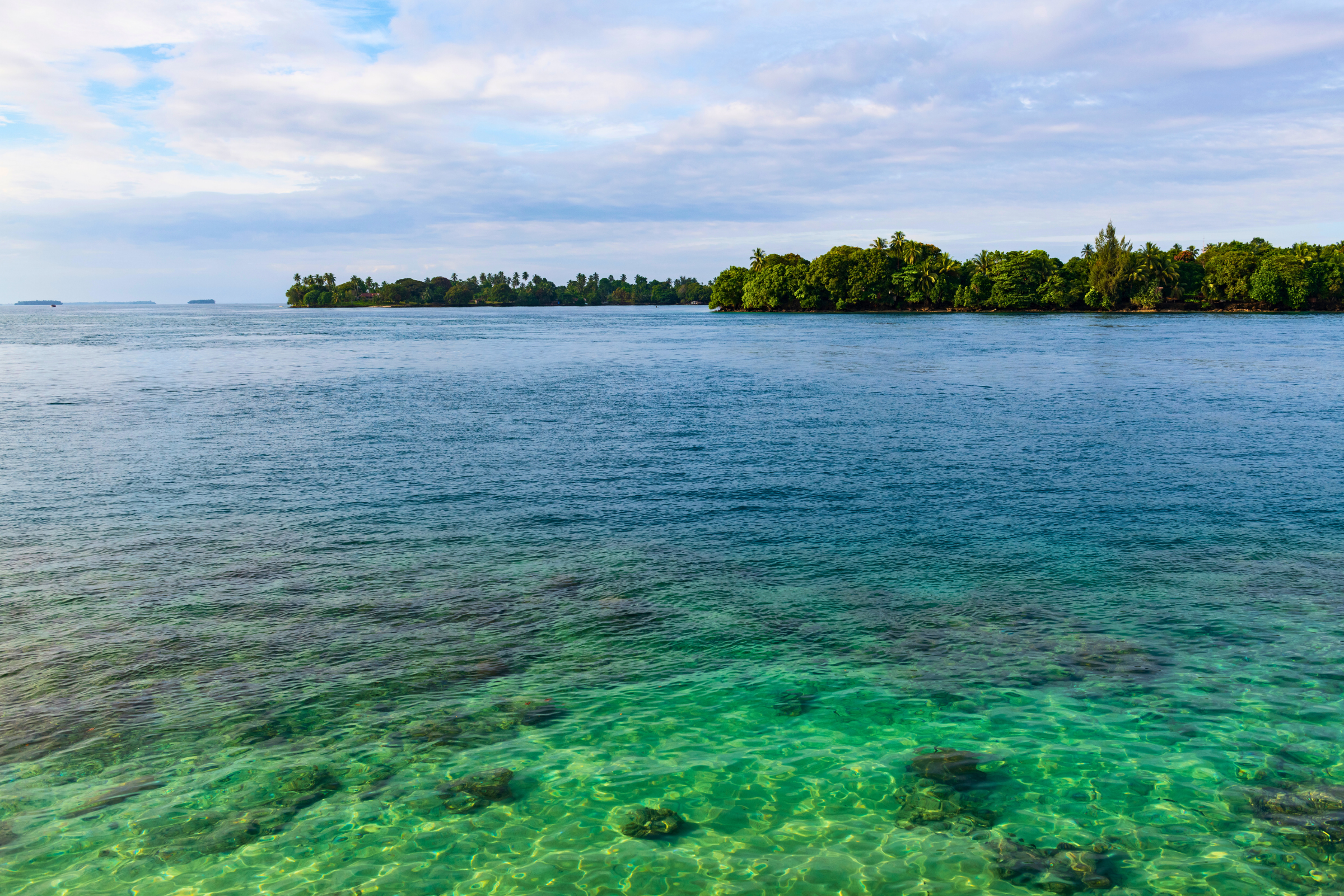 madang_2.webp