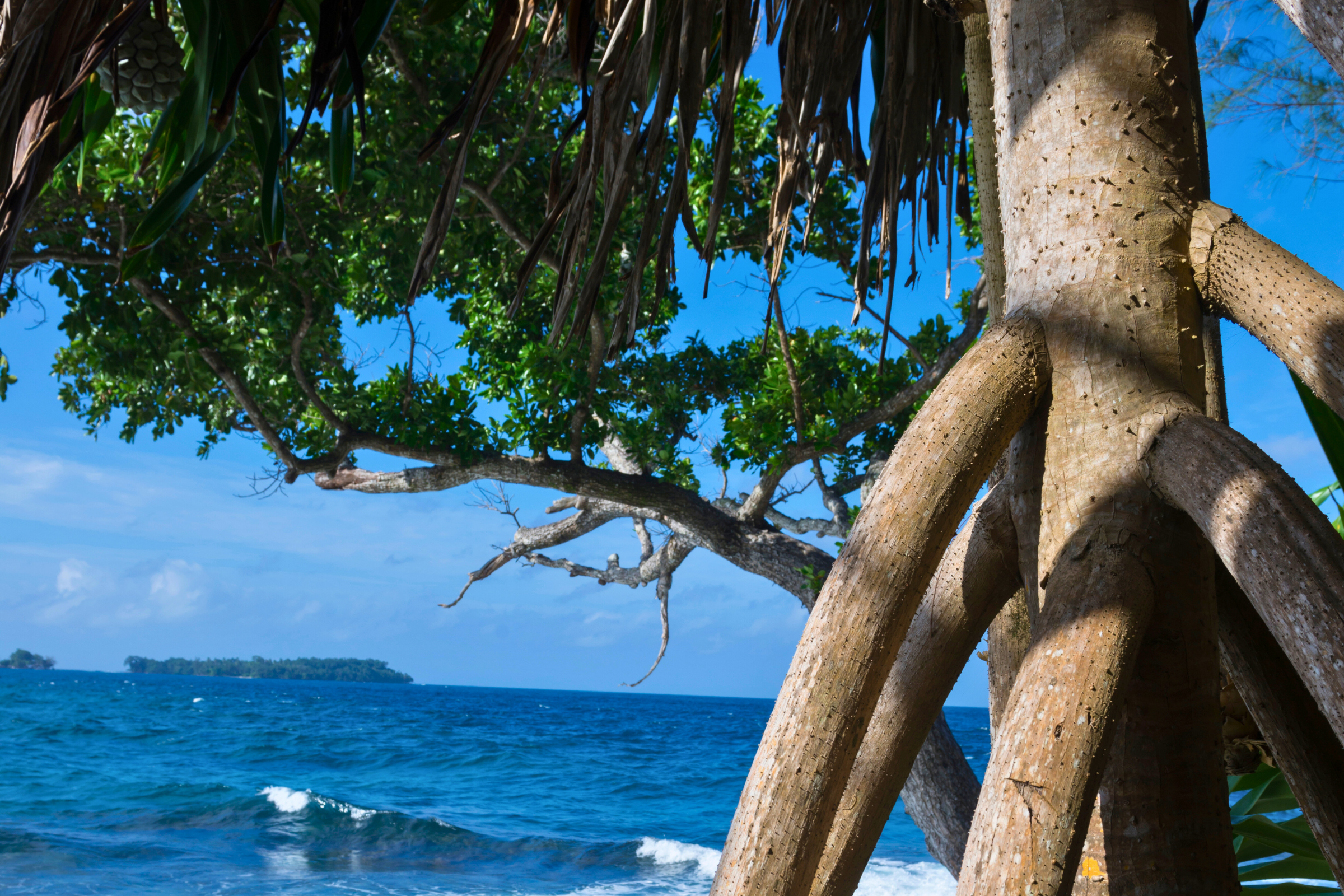 madang_3.webp