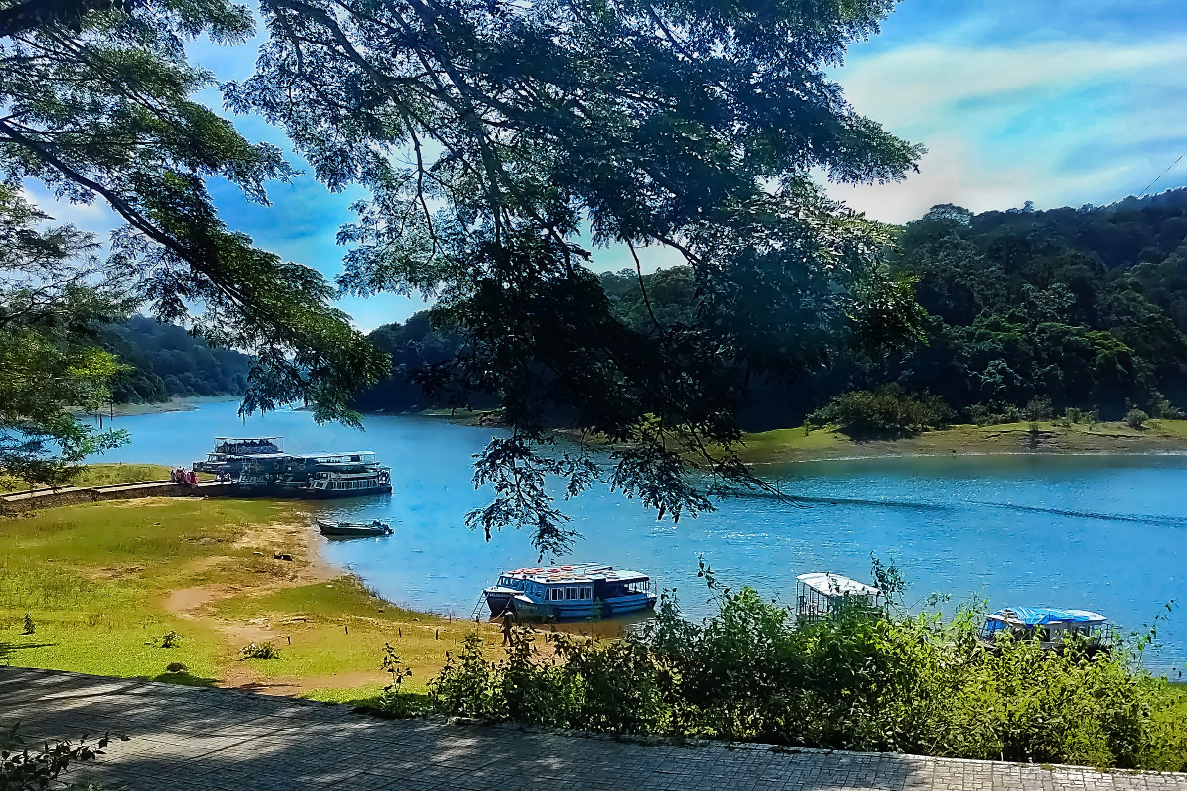 thekkady.webp