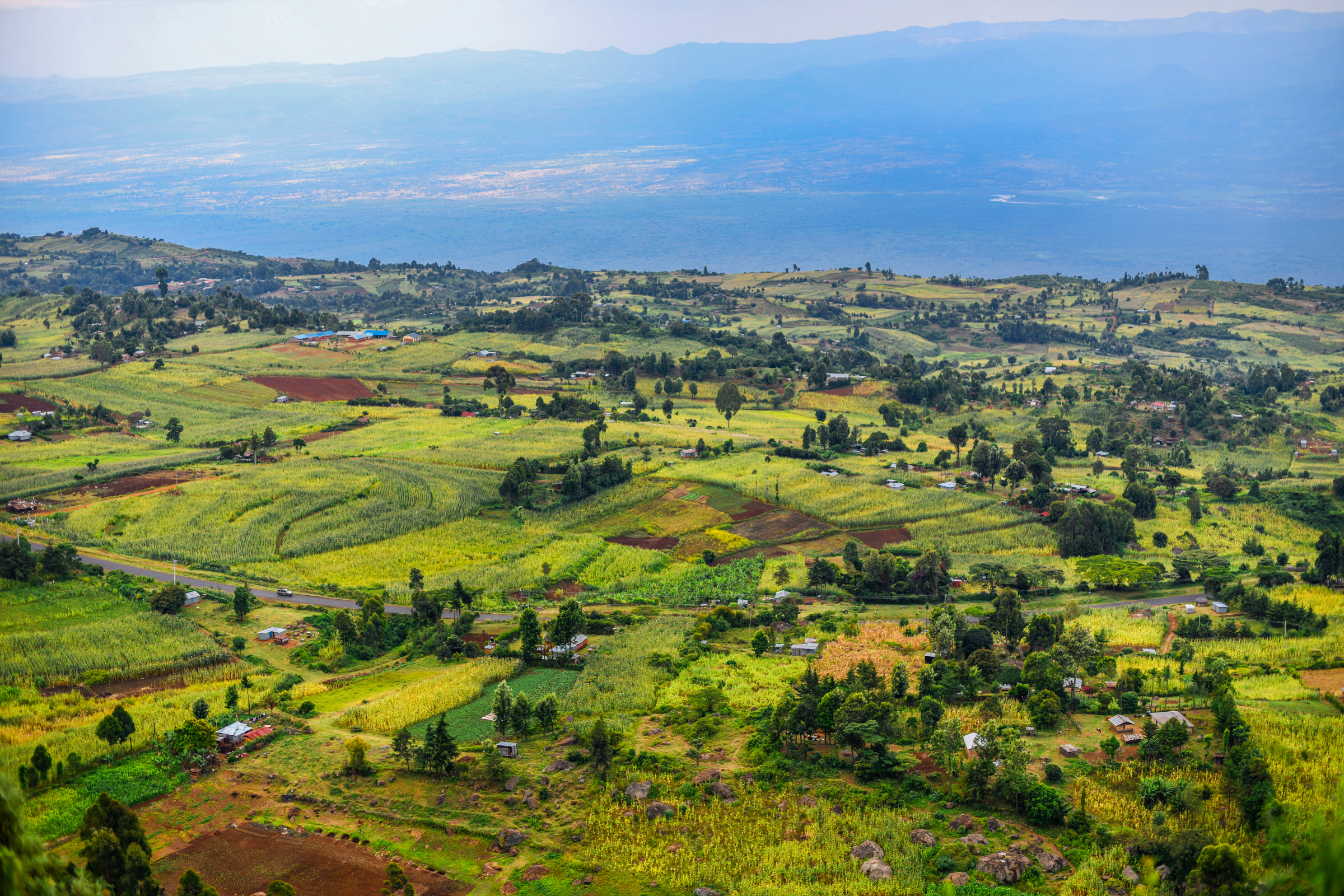 eldoret.webp