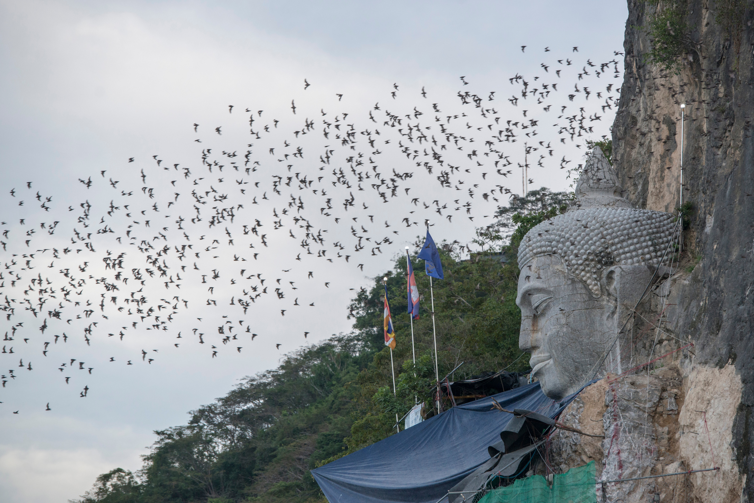 battambang.webp