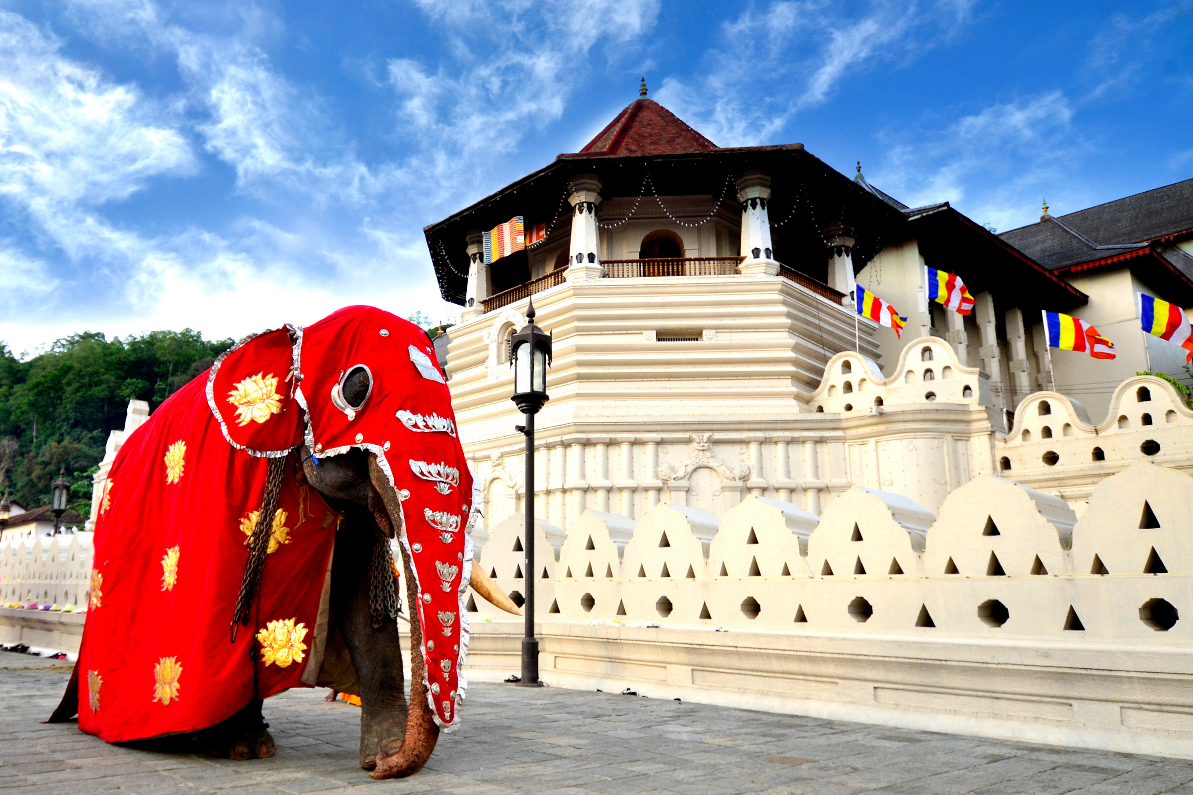 kandy.webp