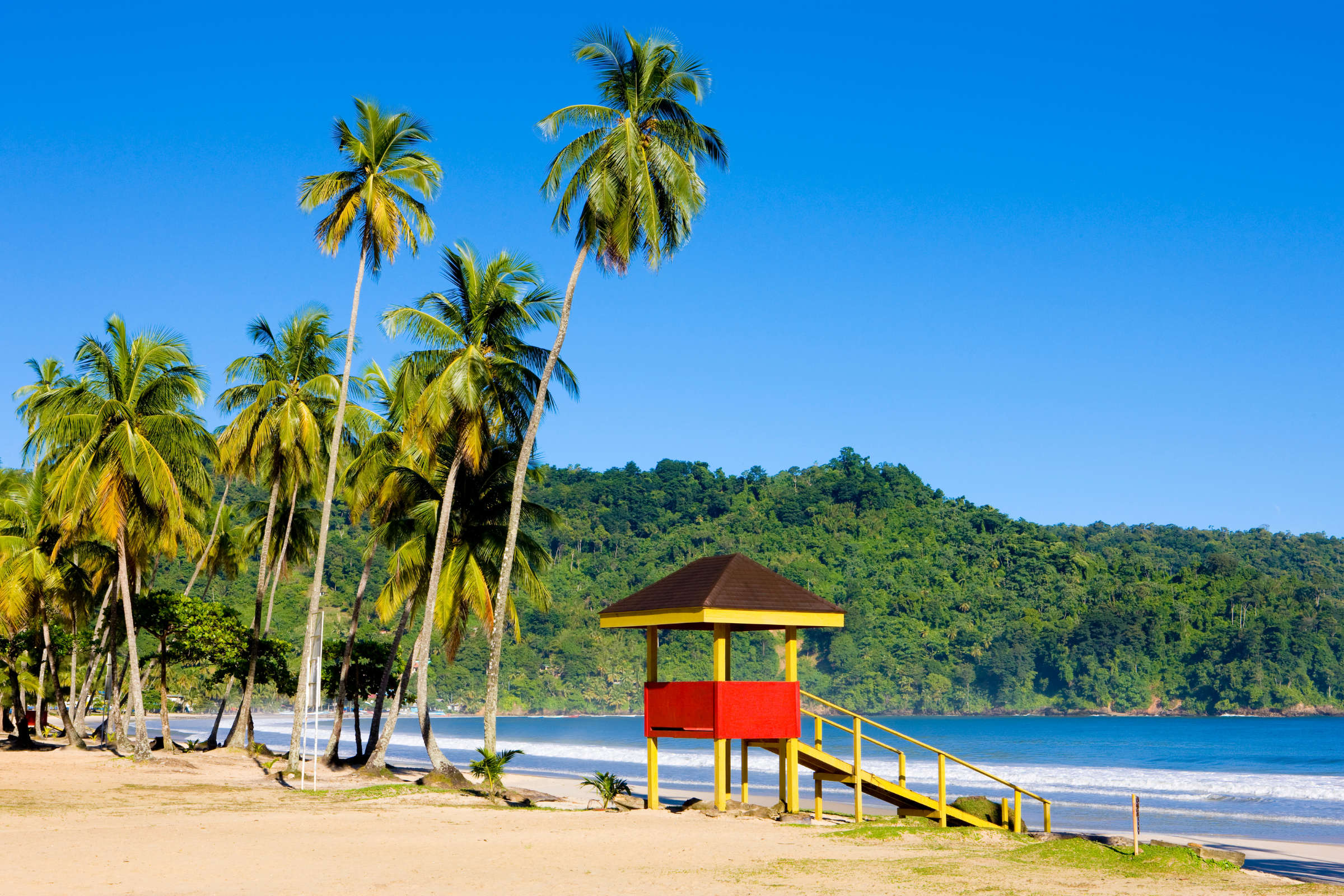 trinidad.webp