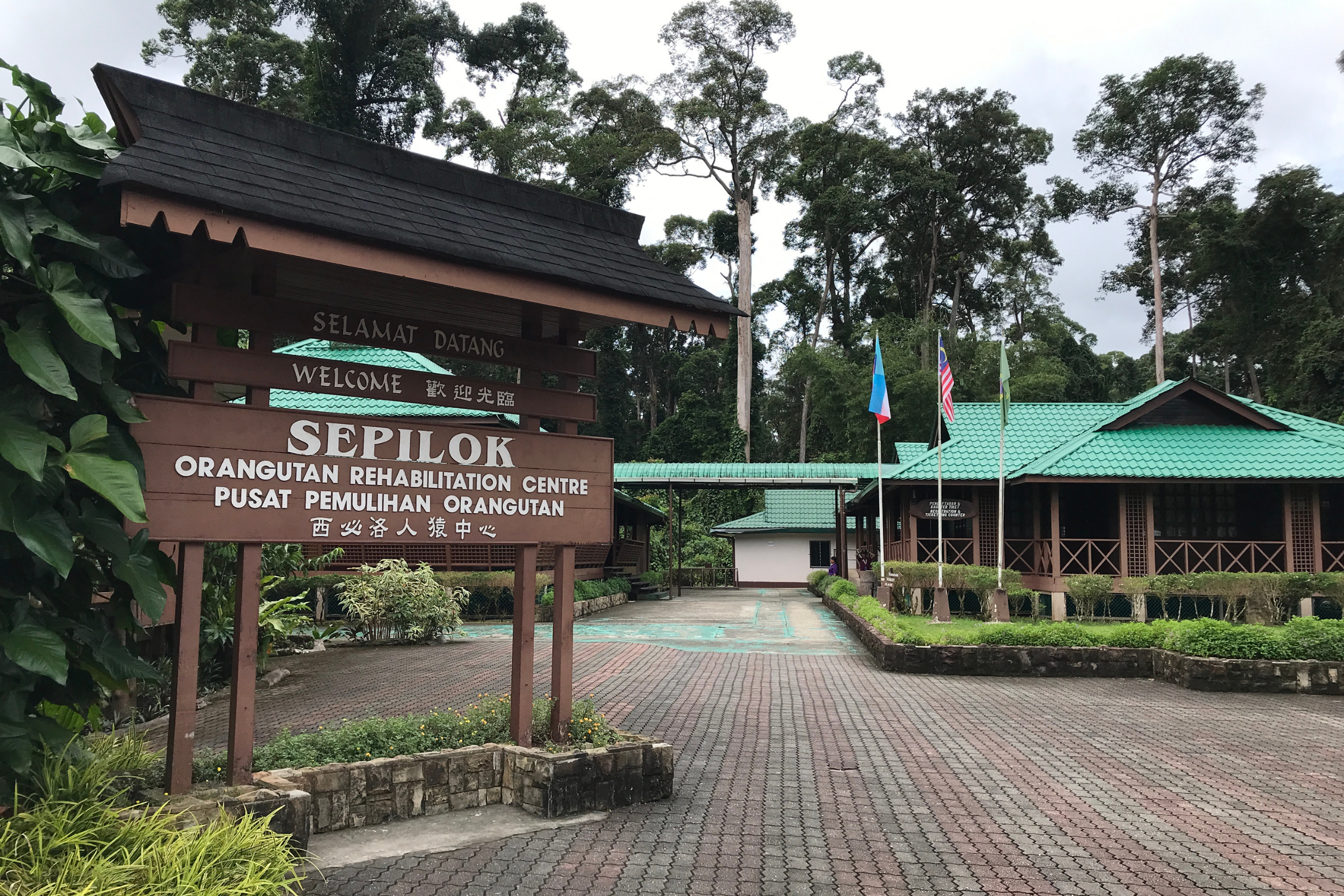 sepilok.webp