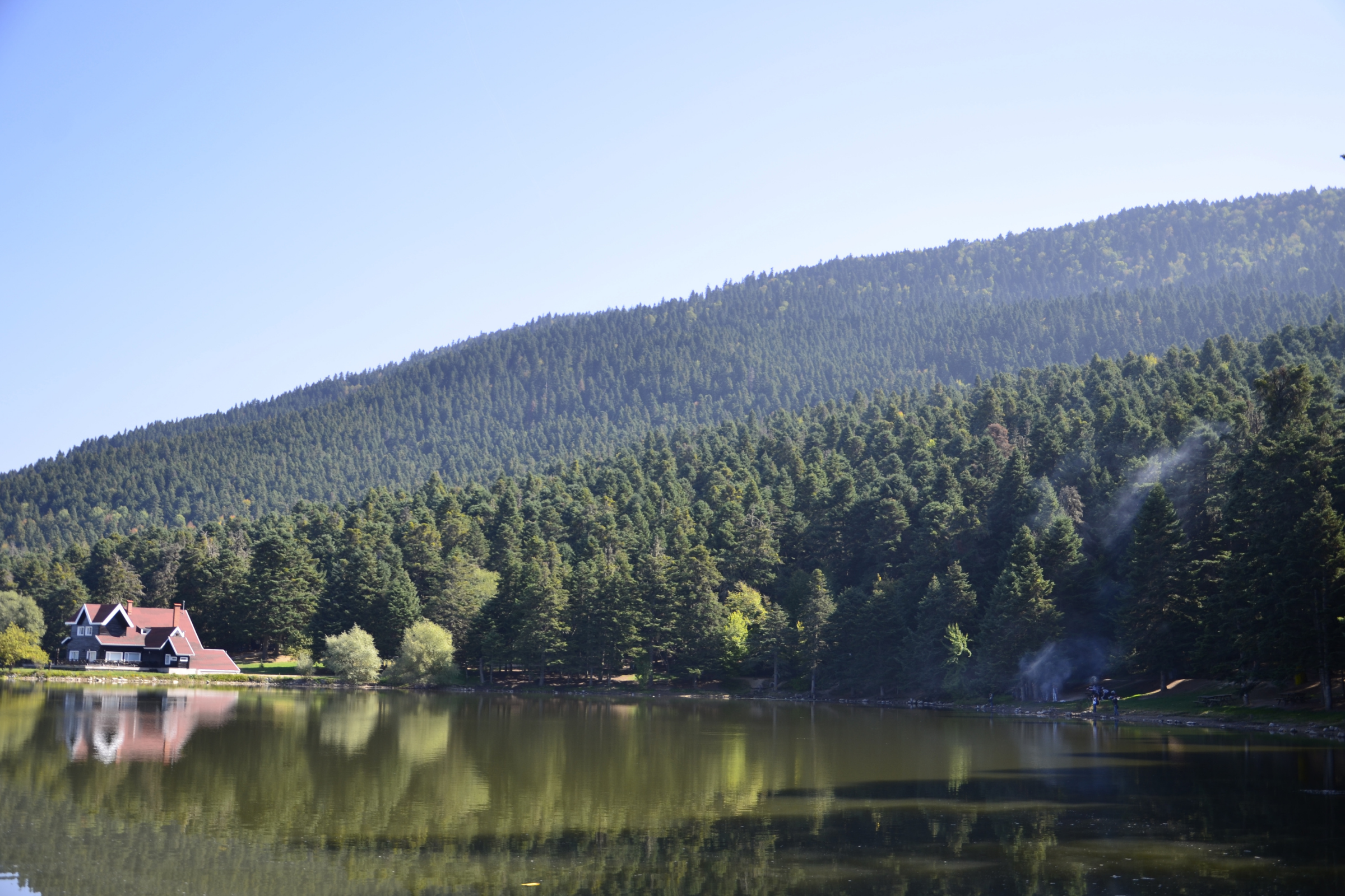 bolu.webp