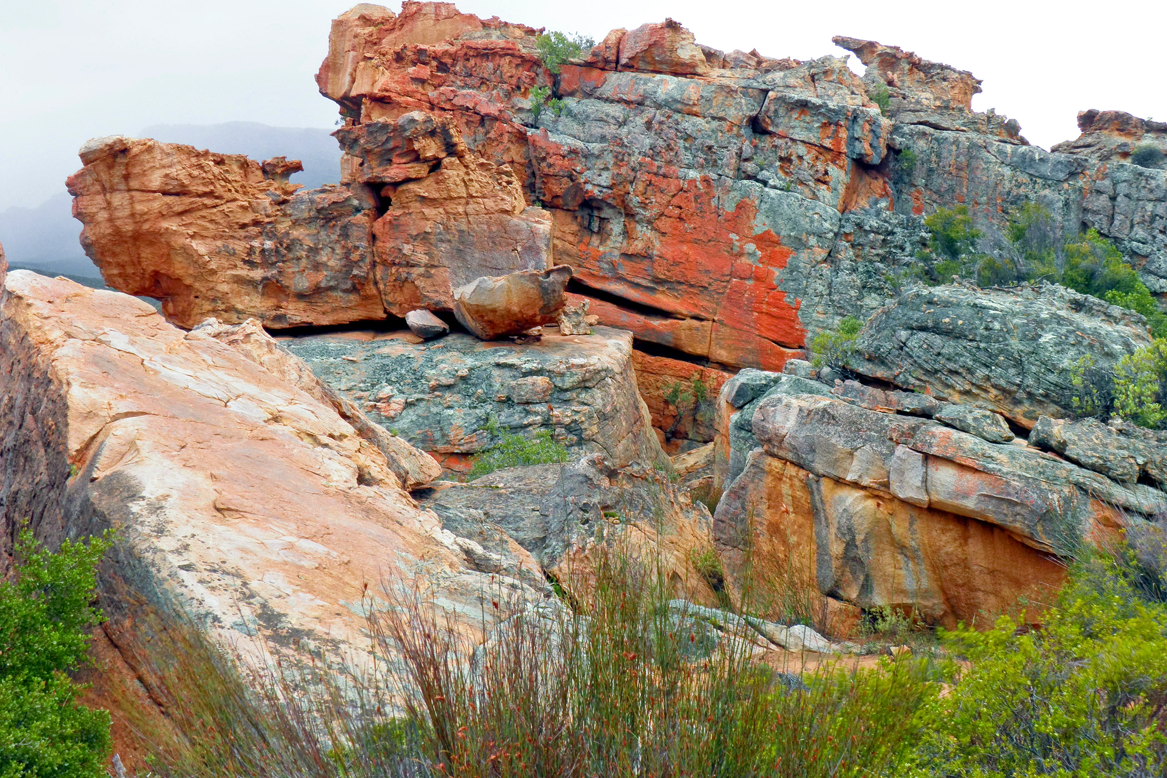 cederberg.webp
