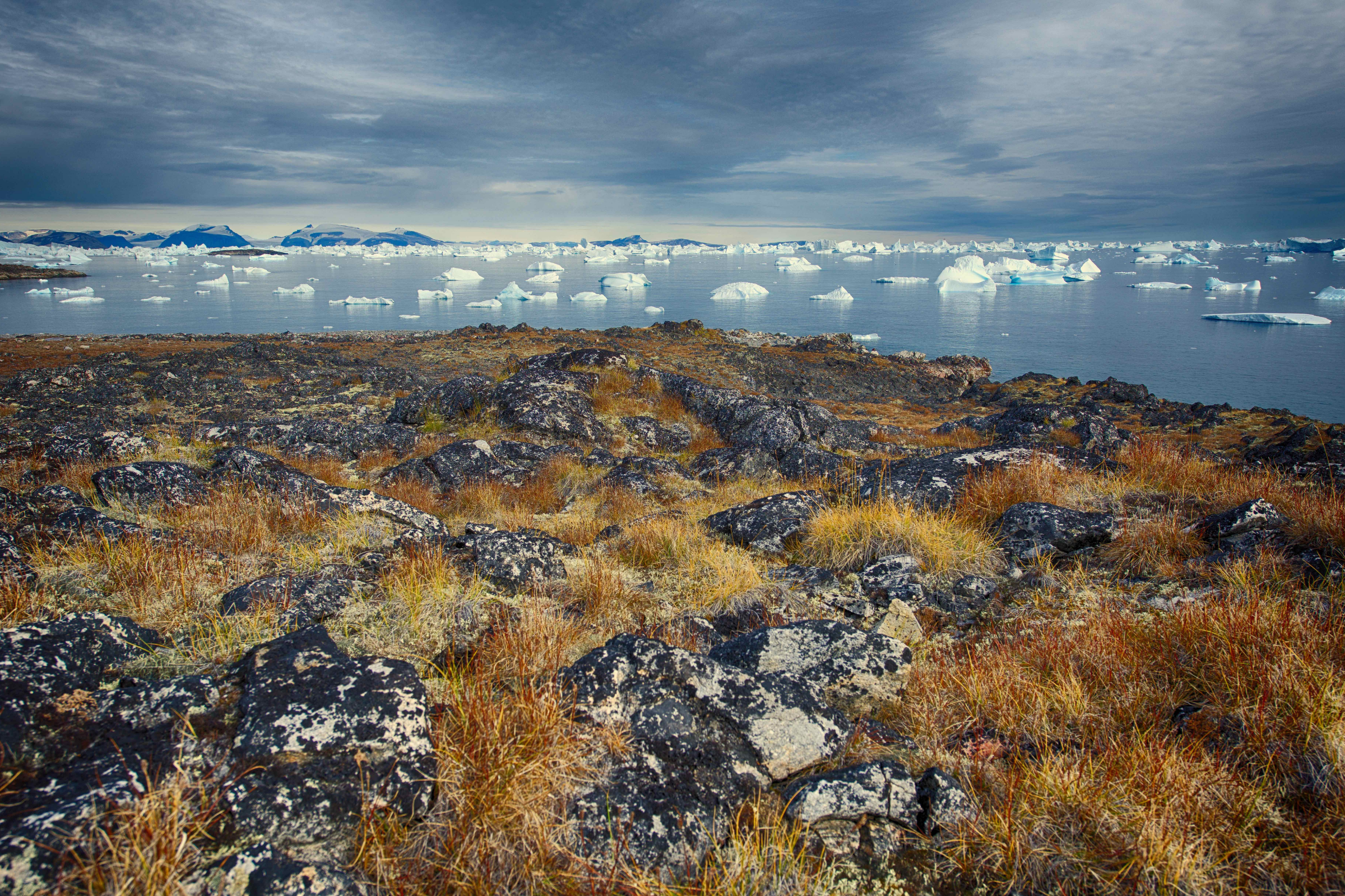 savissivik.webp