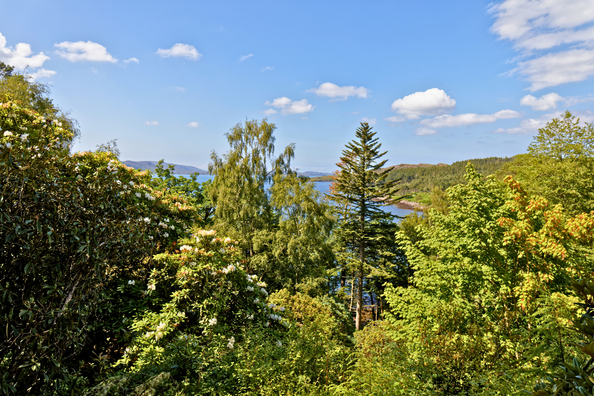 inverewe.webp