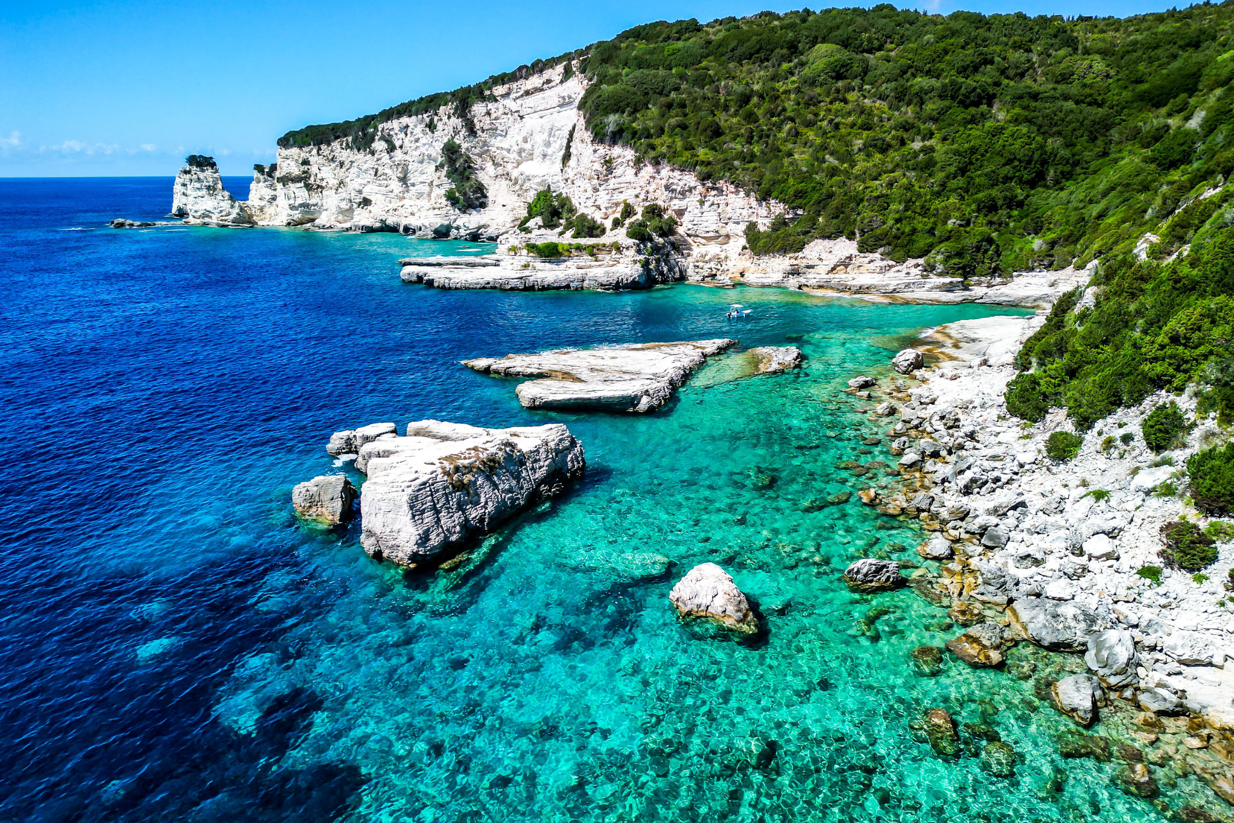 antipaxos.webp