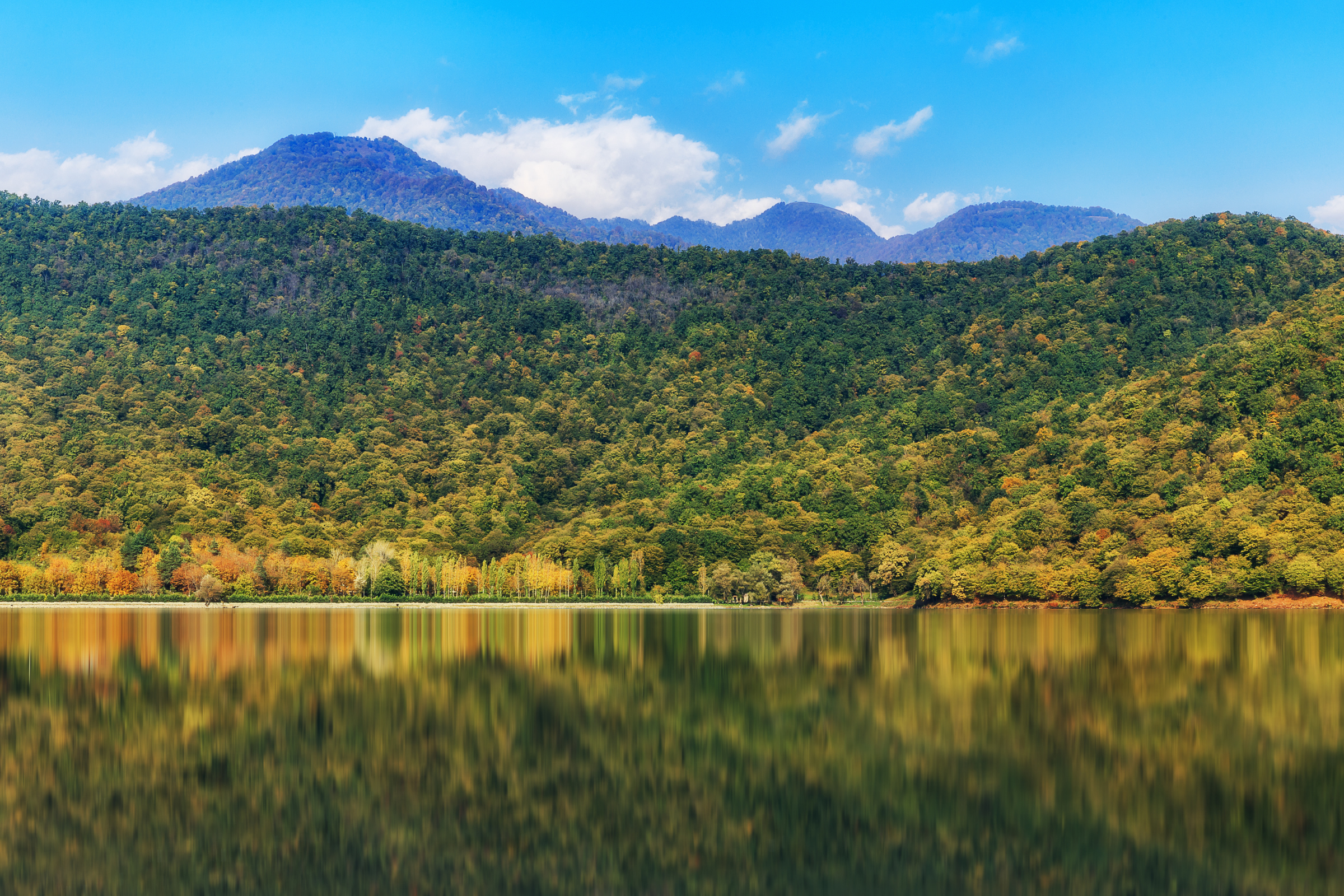 gabala.webp