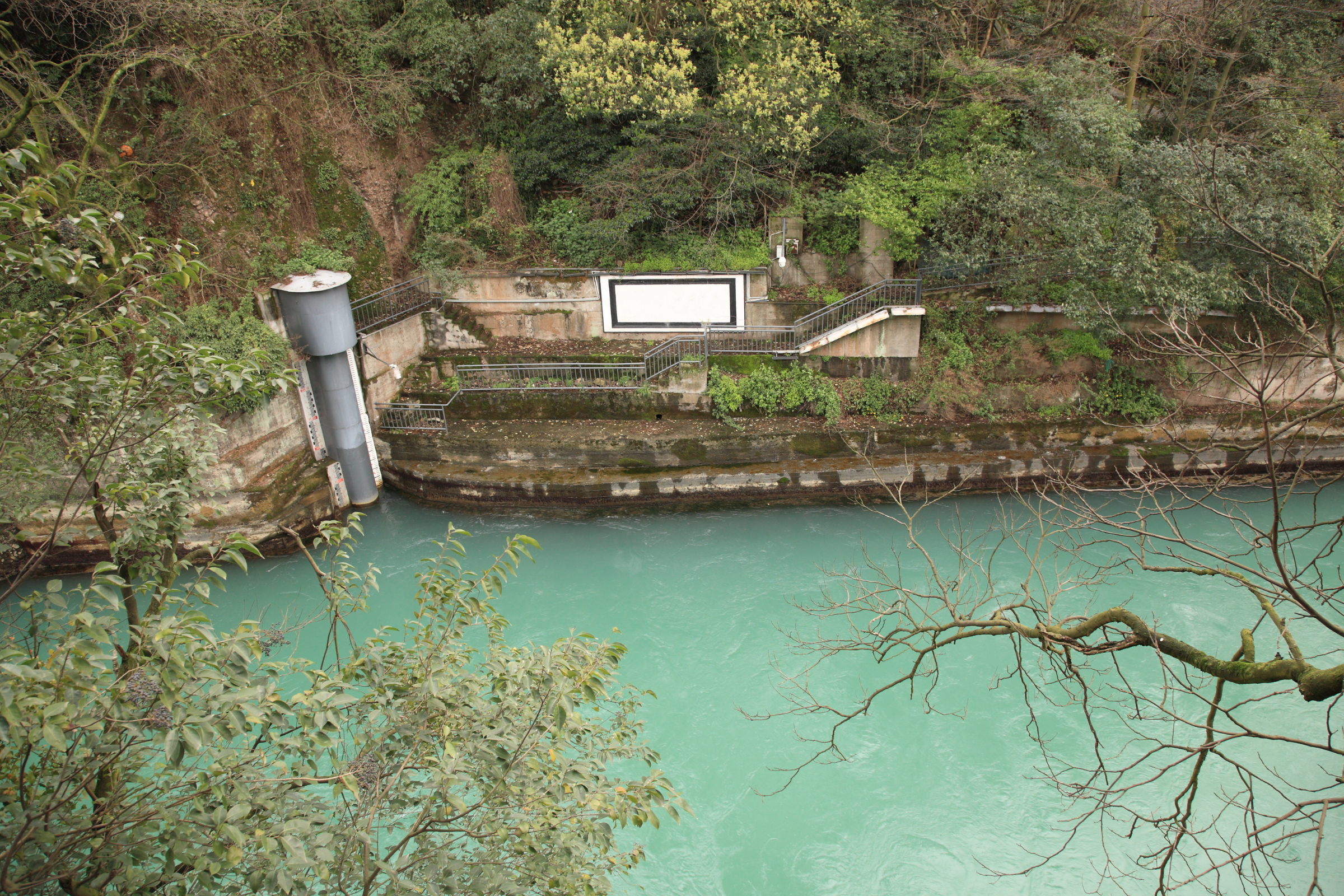 dujiangyan.webp