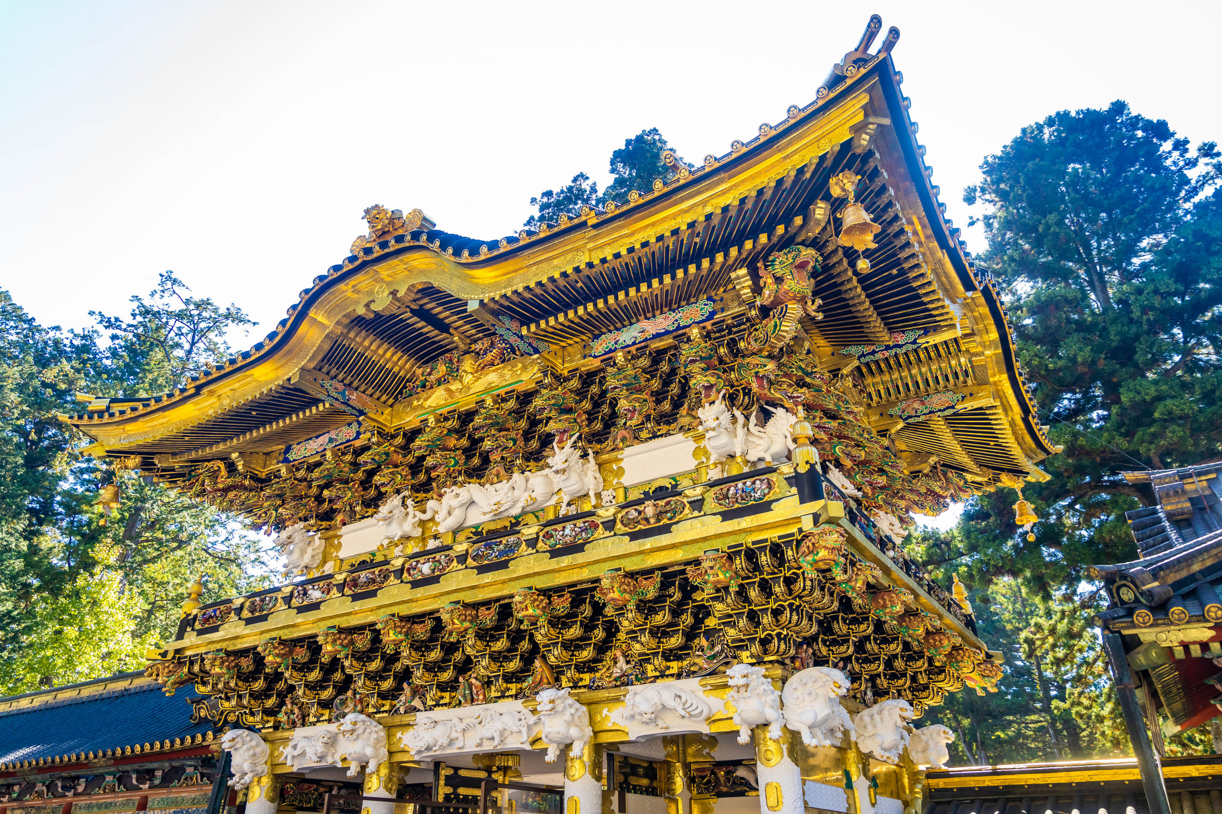 nikko.webp