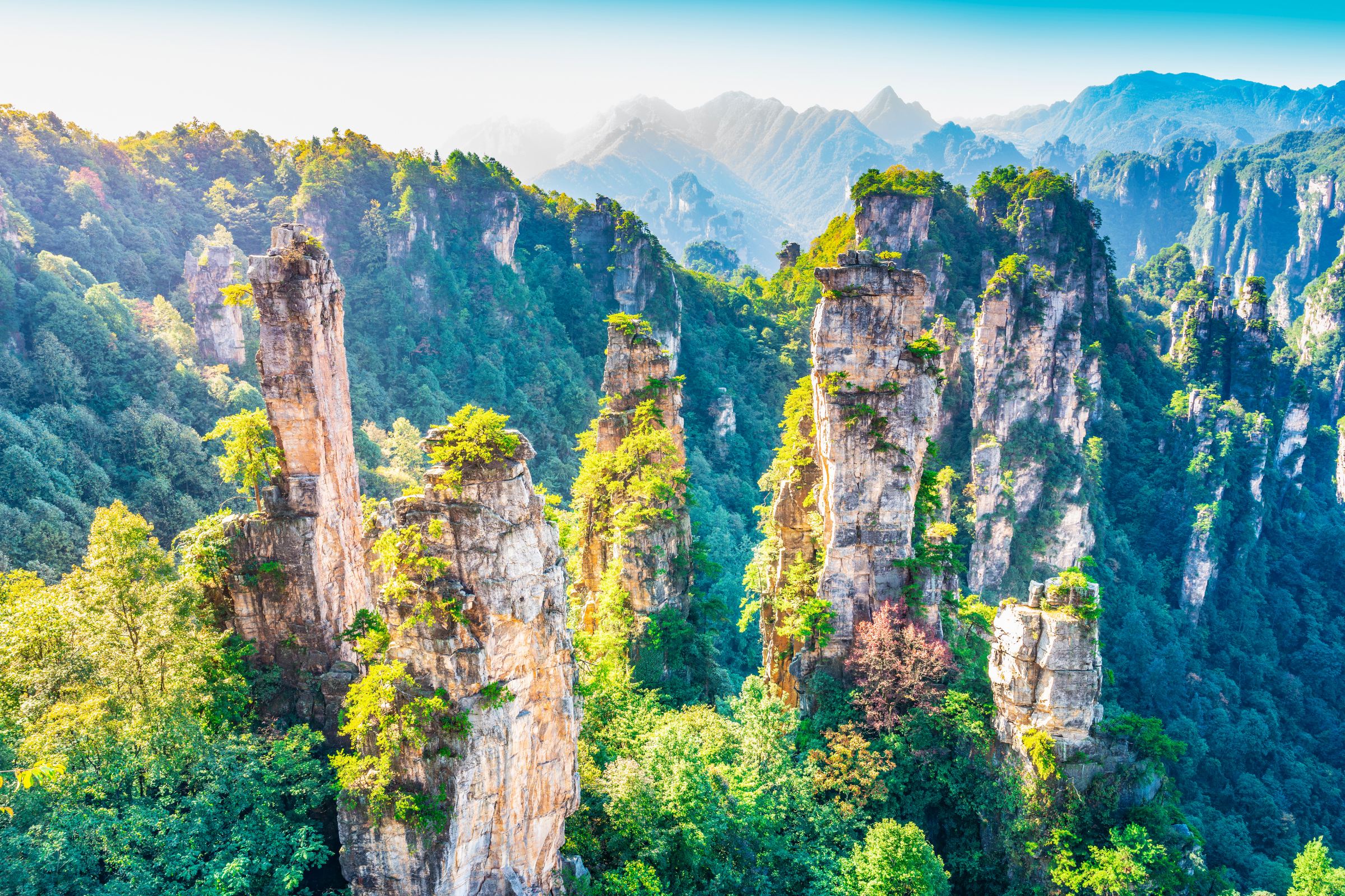 zhangjiajie.webp