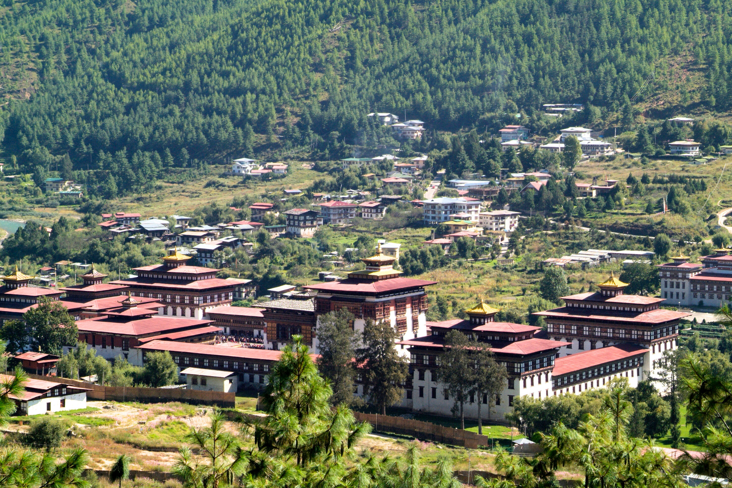 thimpu.webp