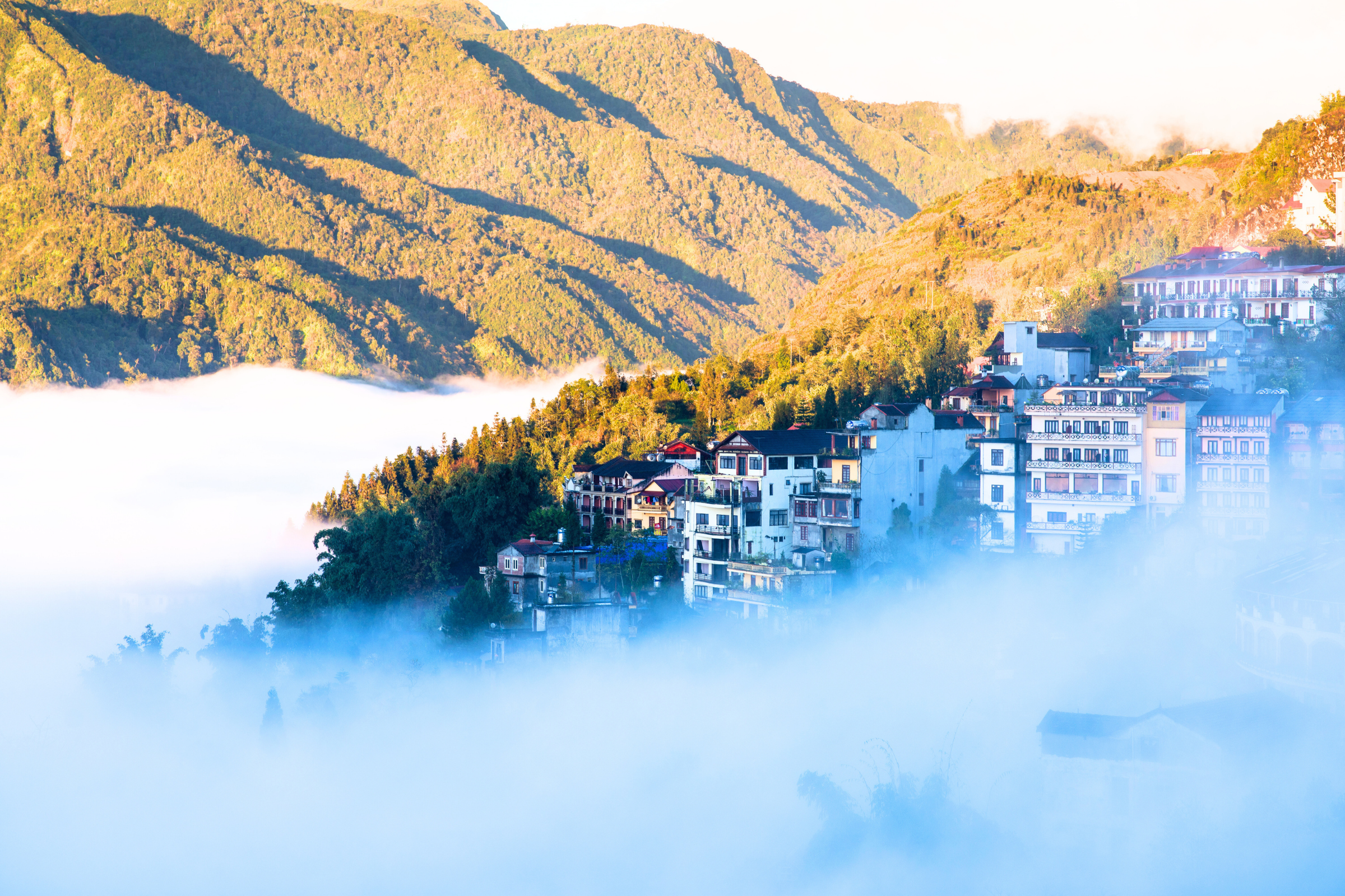 sapa.webp