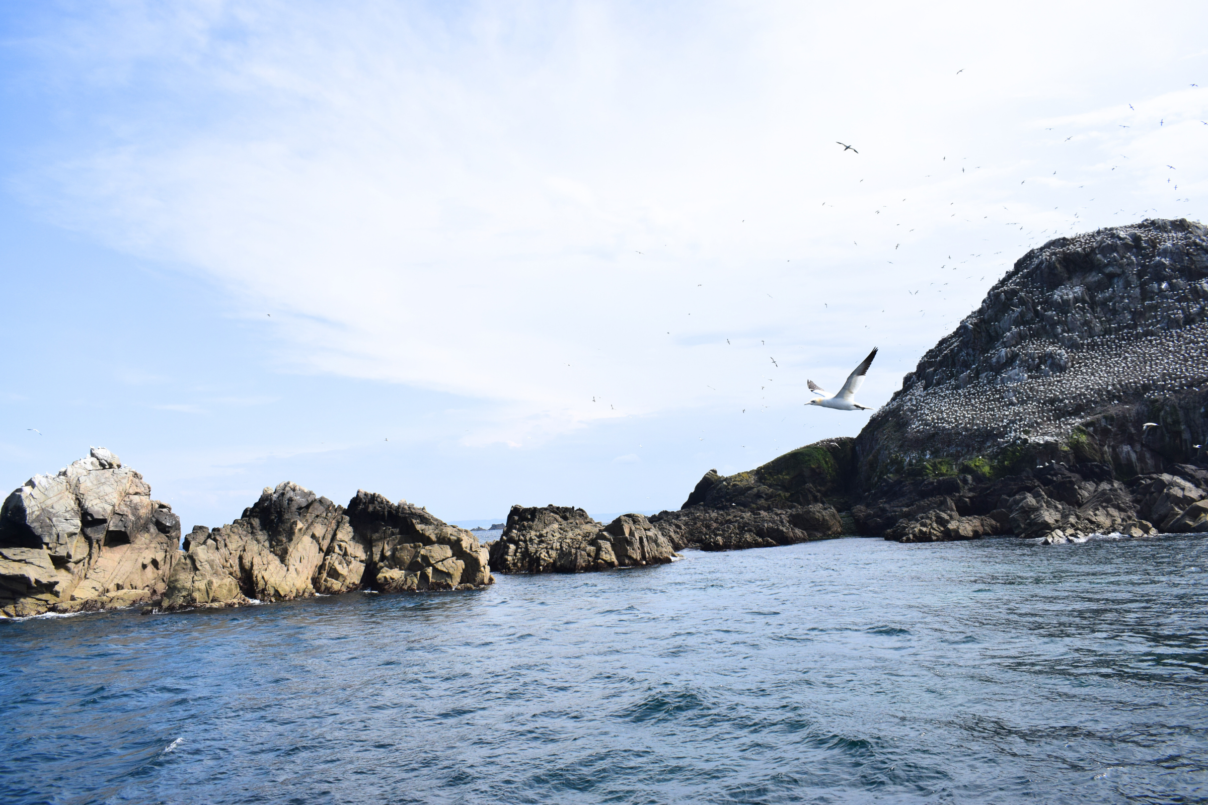 l'île-des-pins.webp
