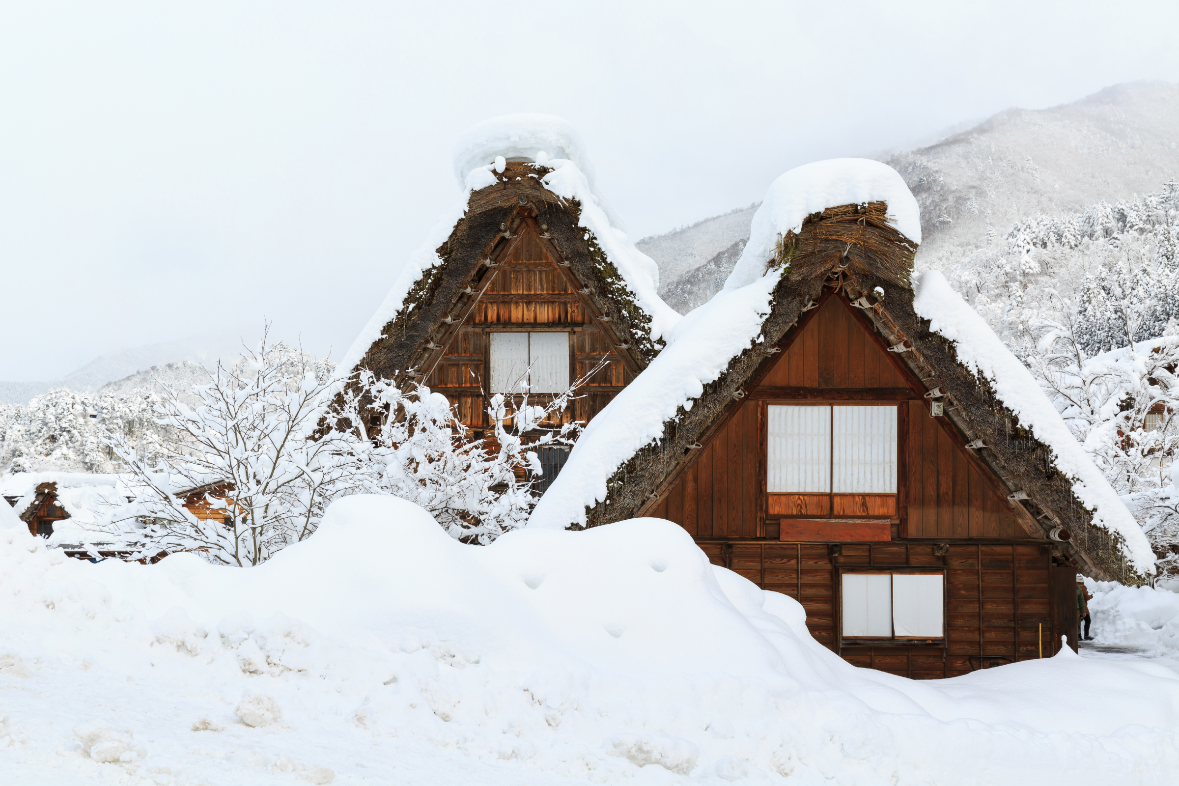 shirakawa.webp