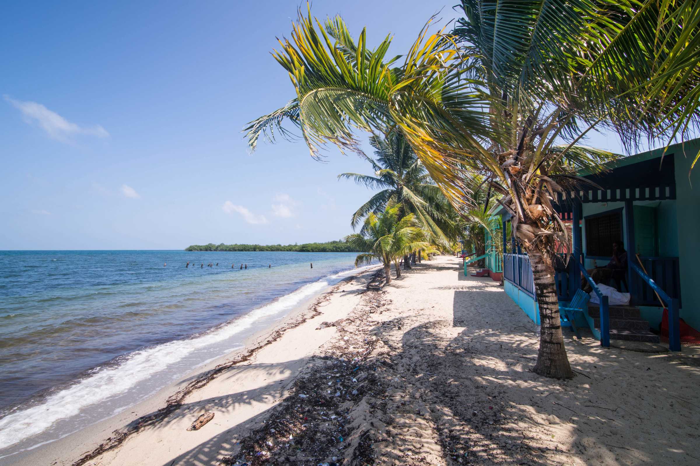 placencia.webp