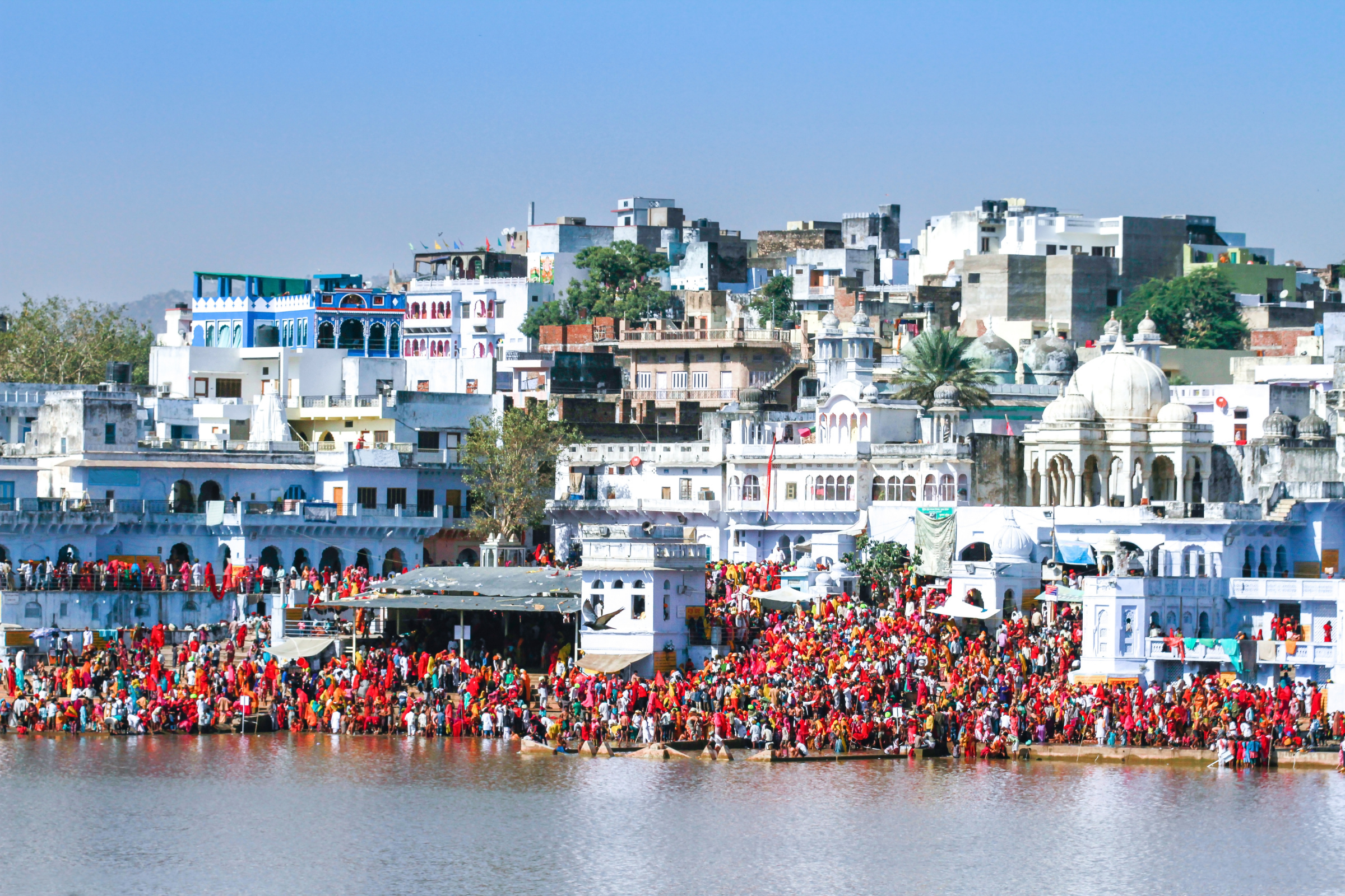 pushkar.webp