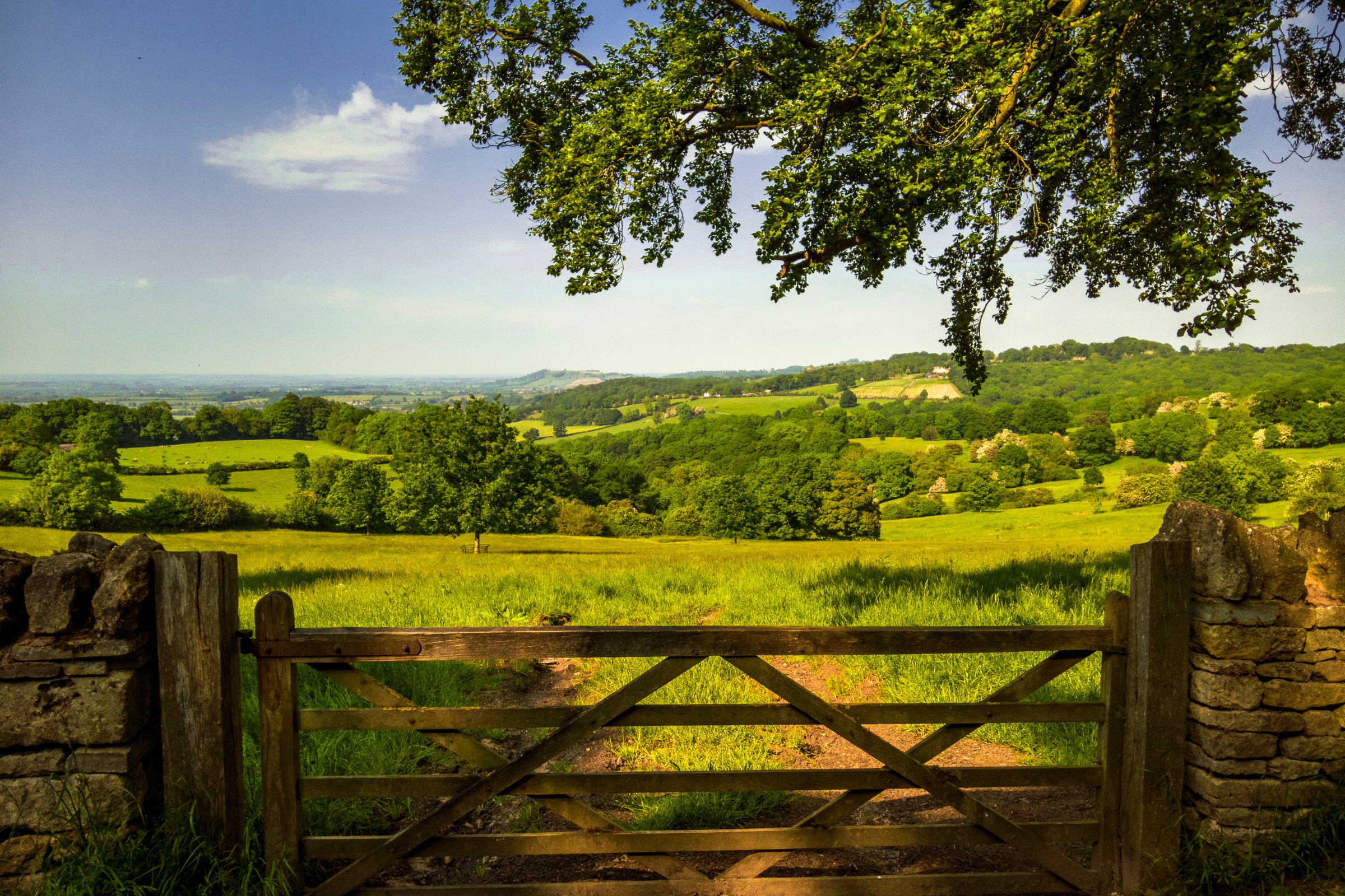 cotswolds.webp