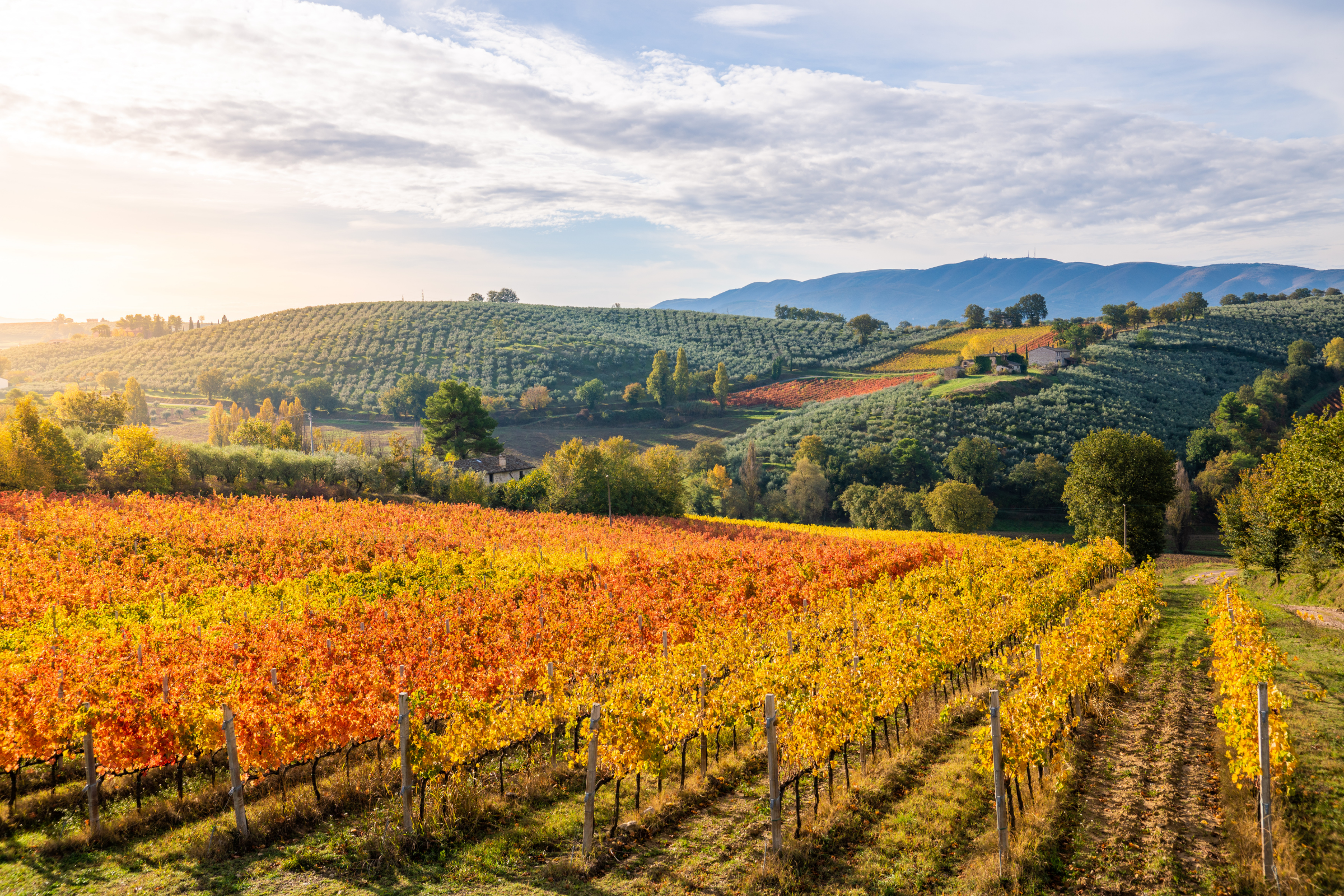 umbria.webp