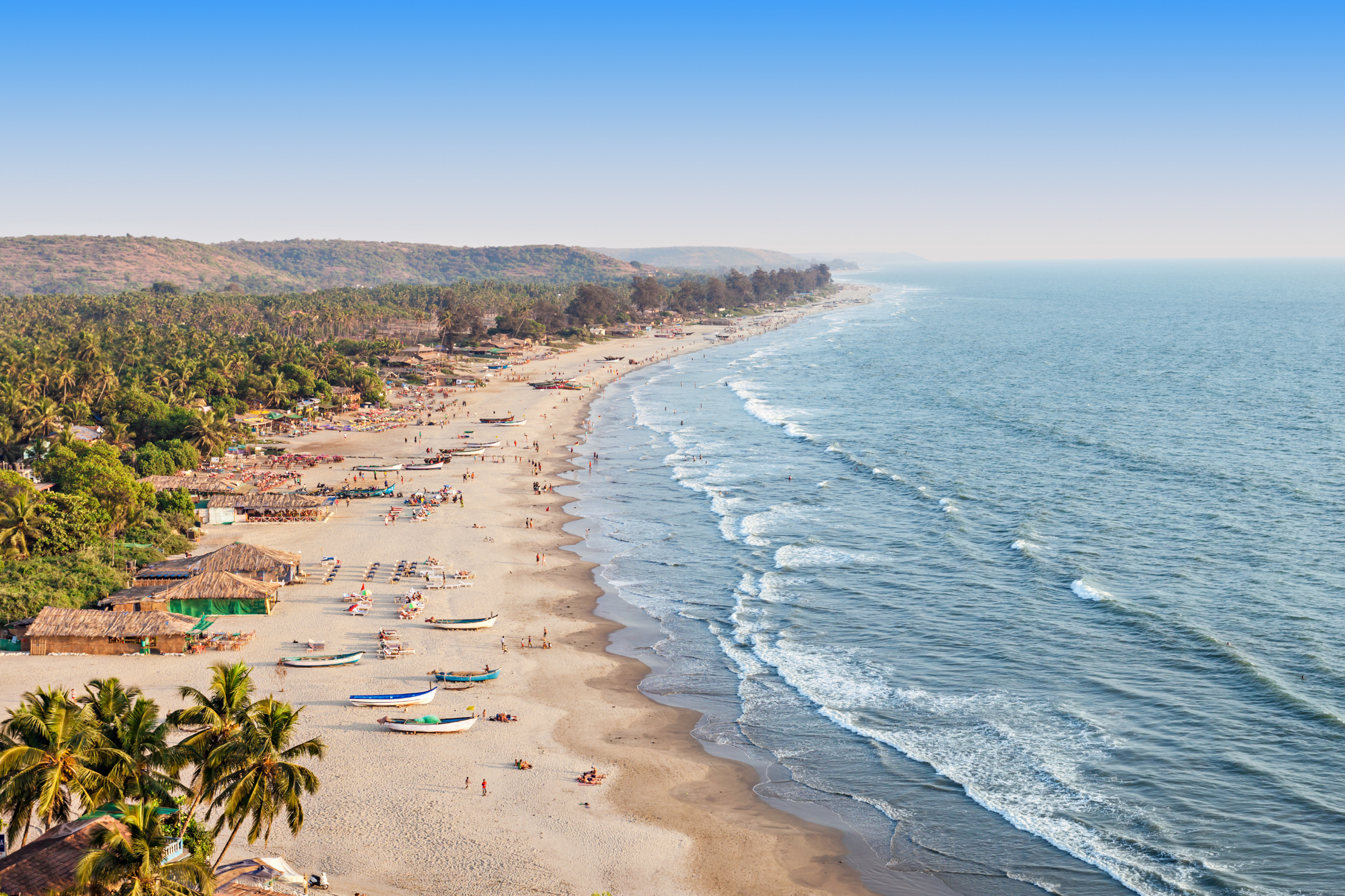 goa.webp
