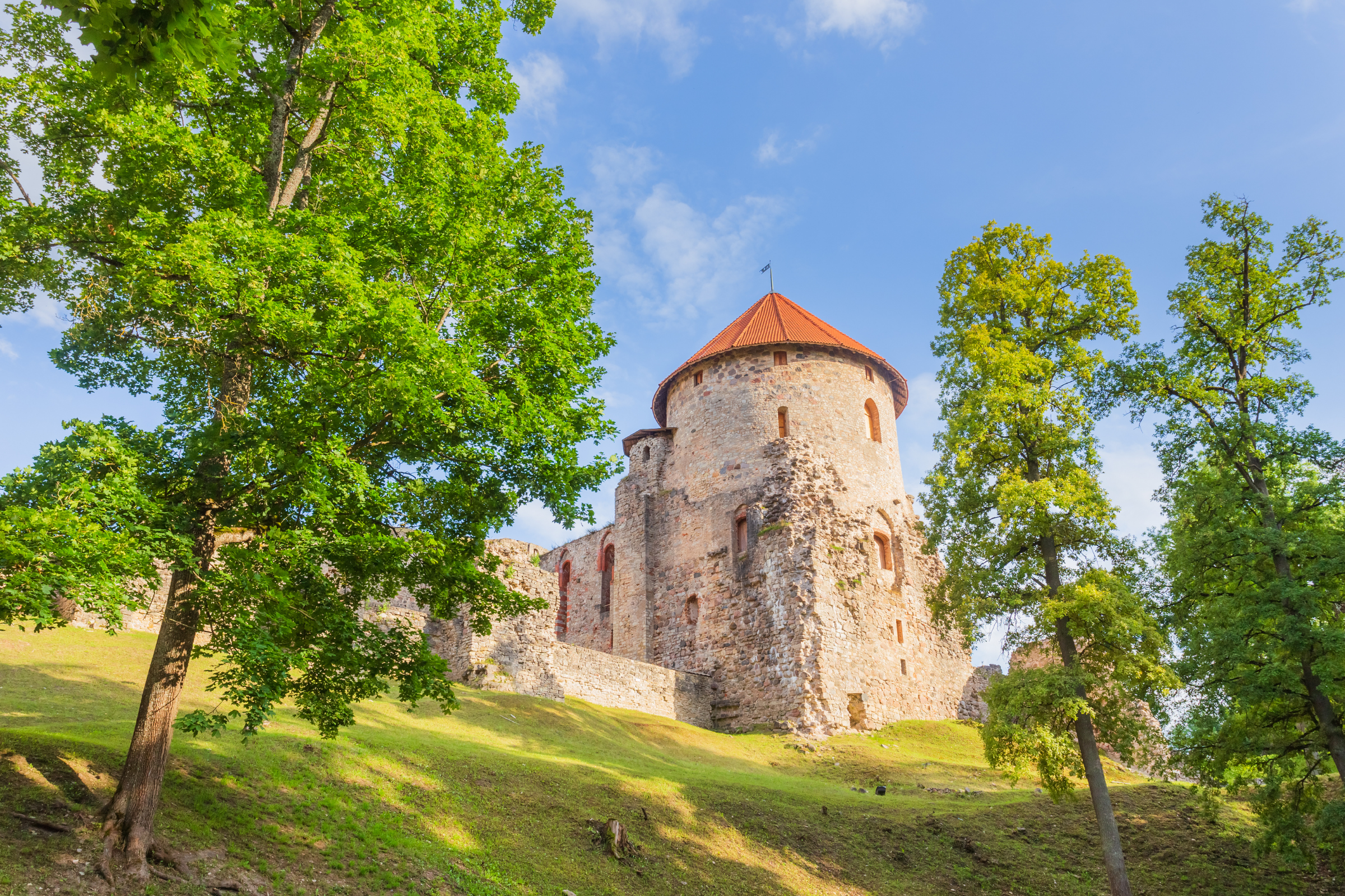 cesis.webp