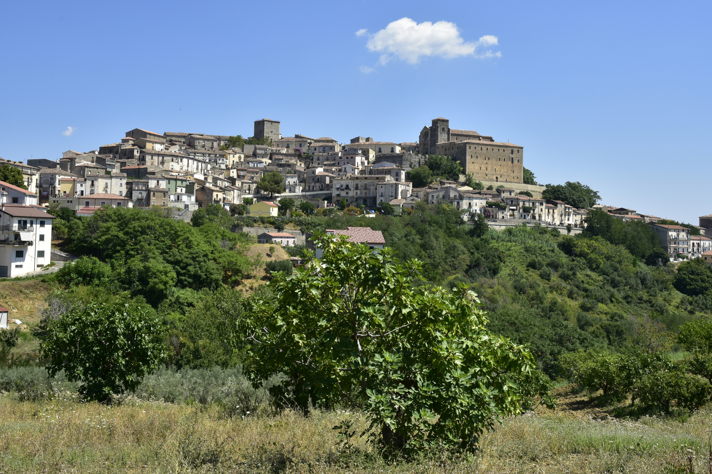 altomonte.webp