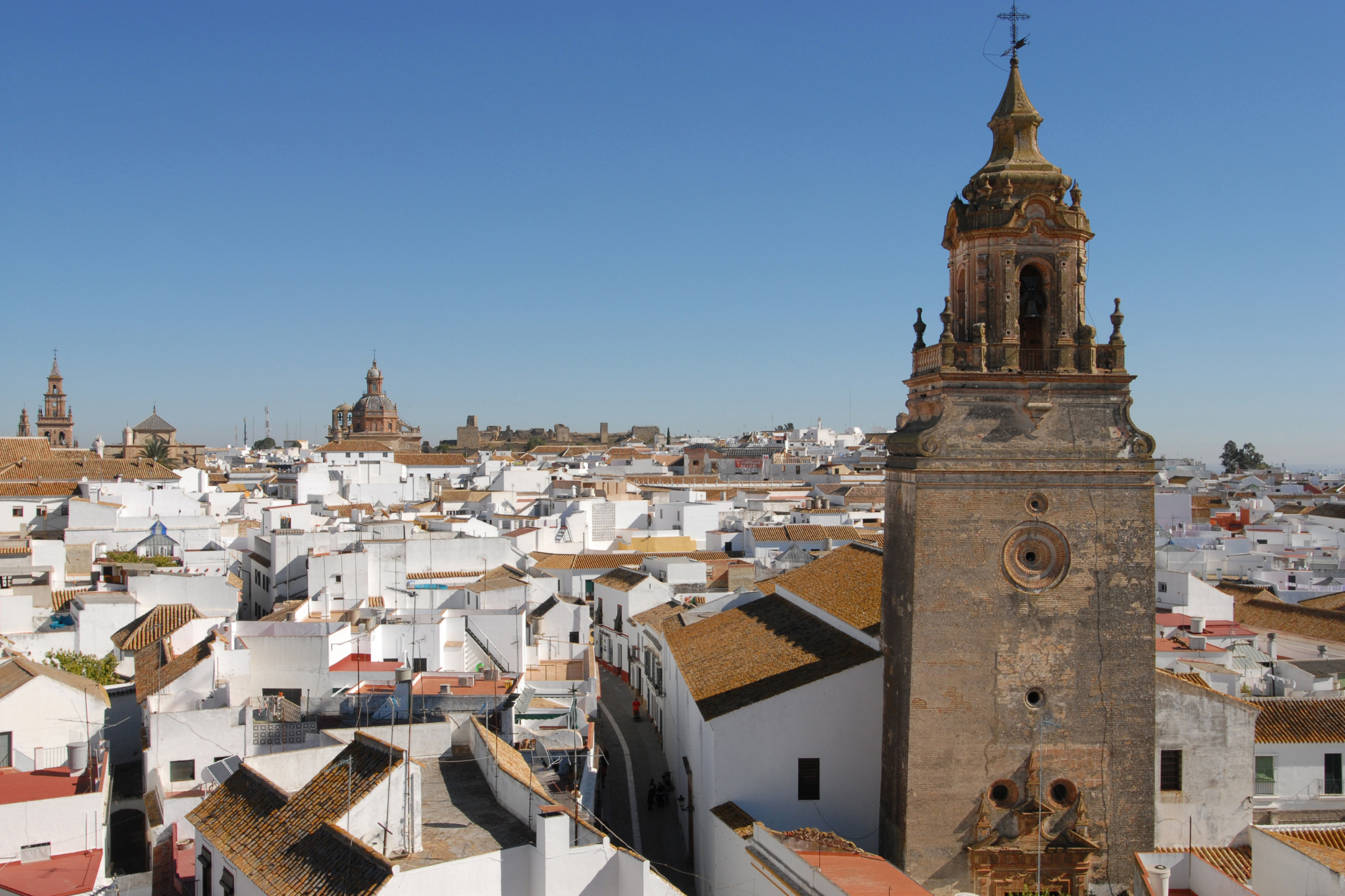 carmona.webp