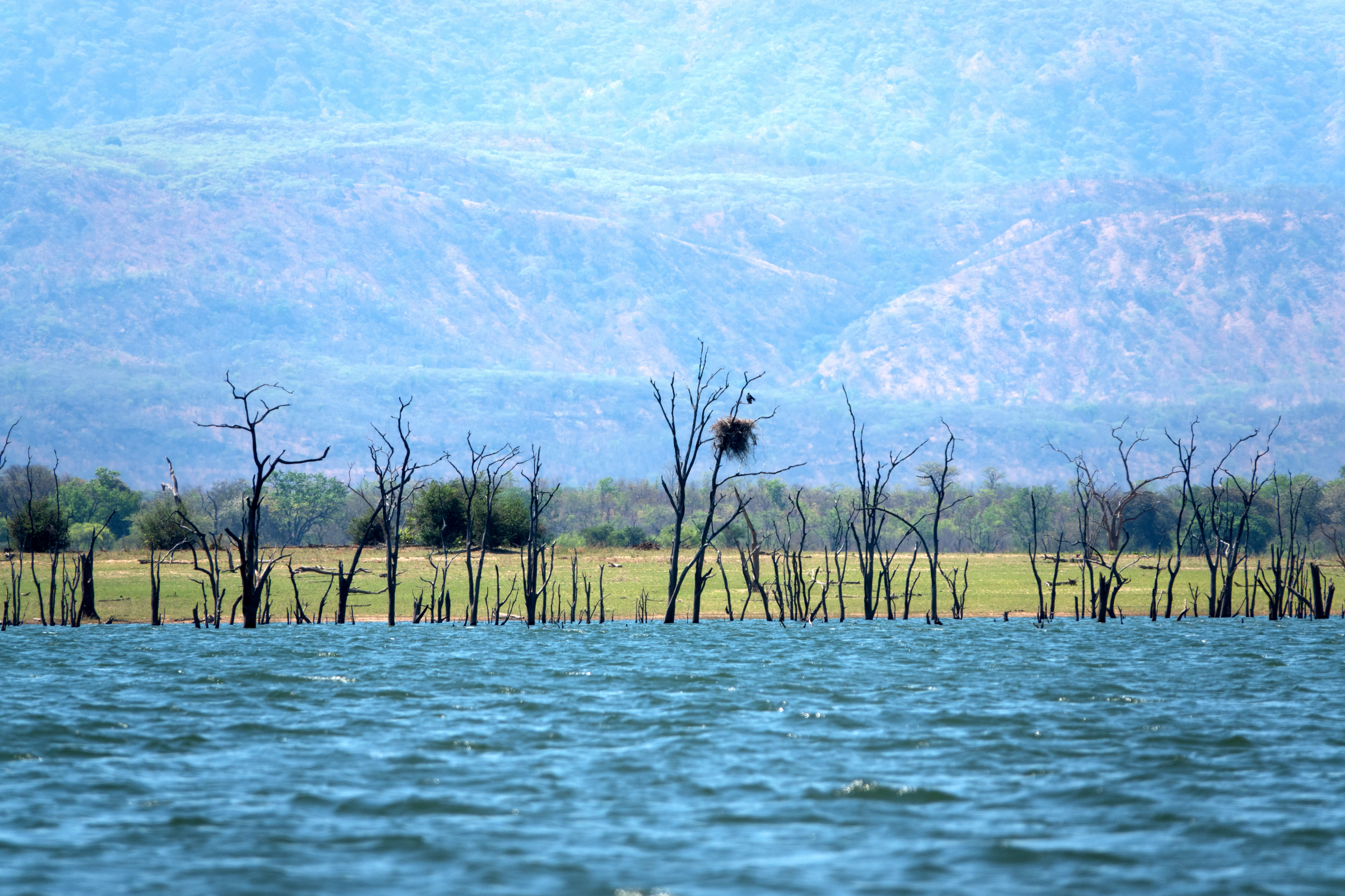 kariba.webp