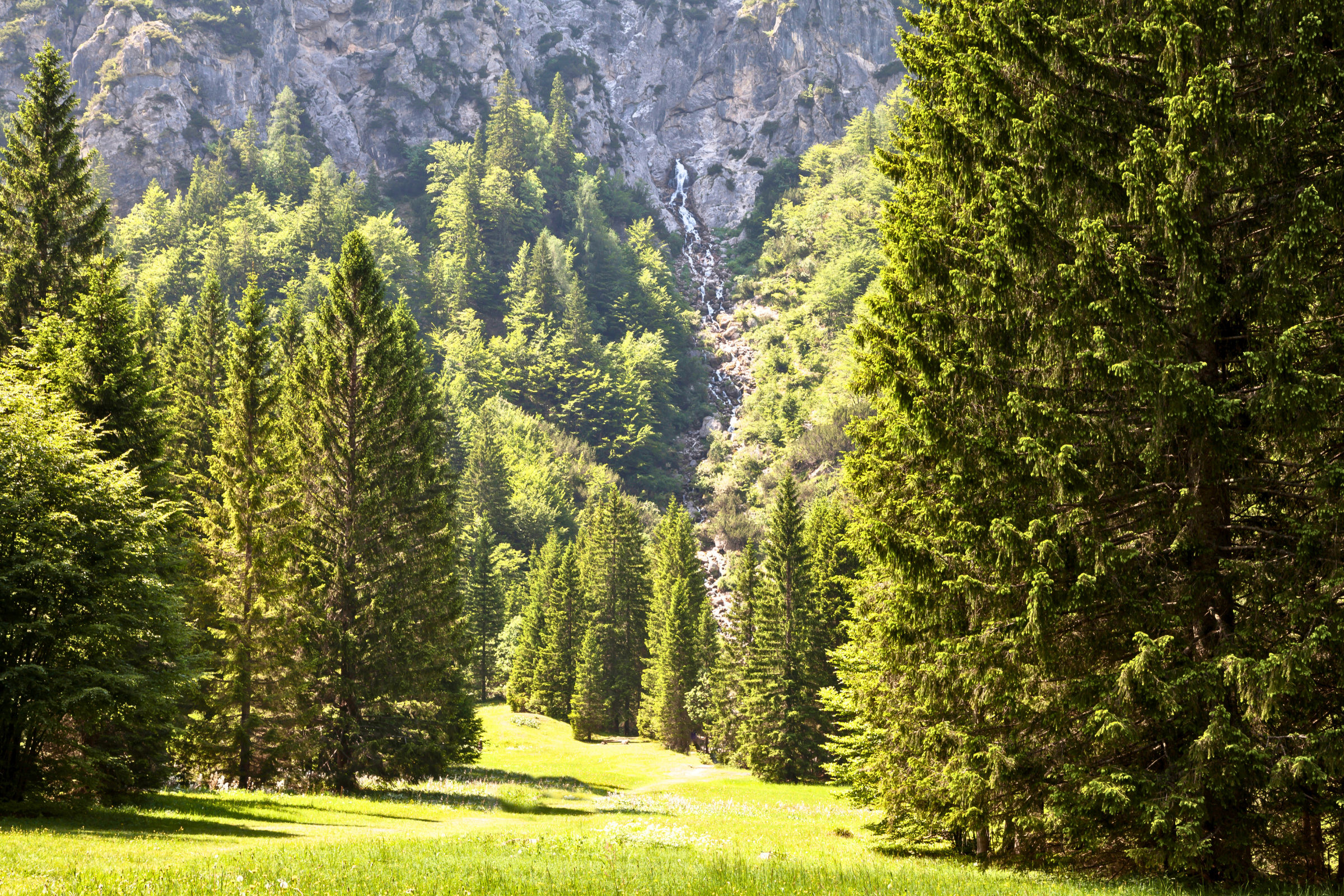 planica.webp