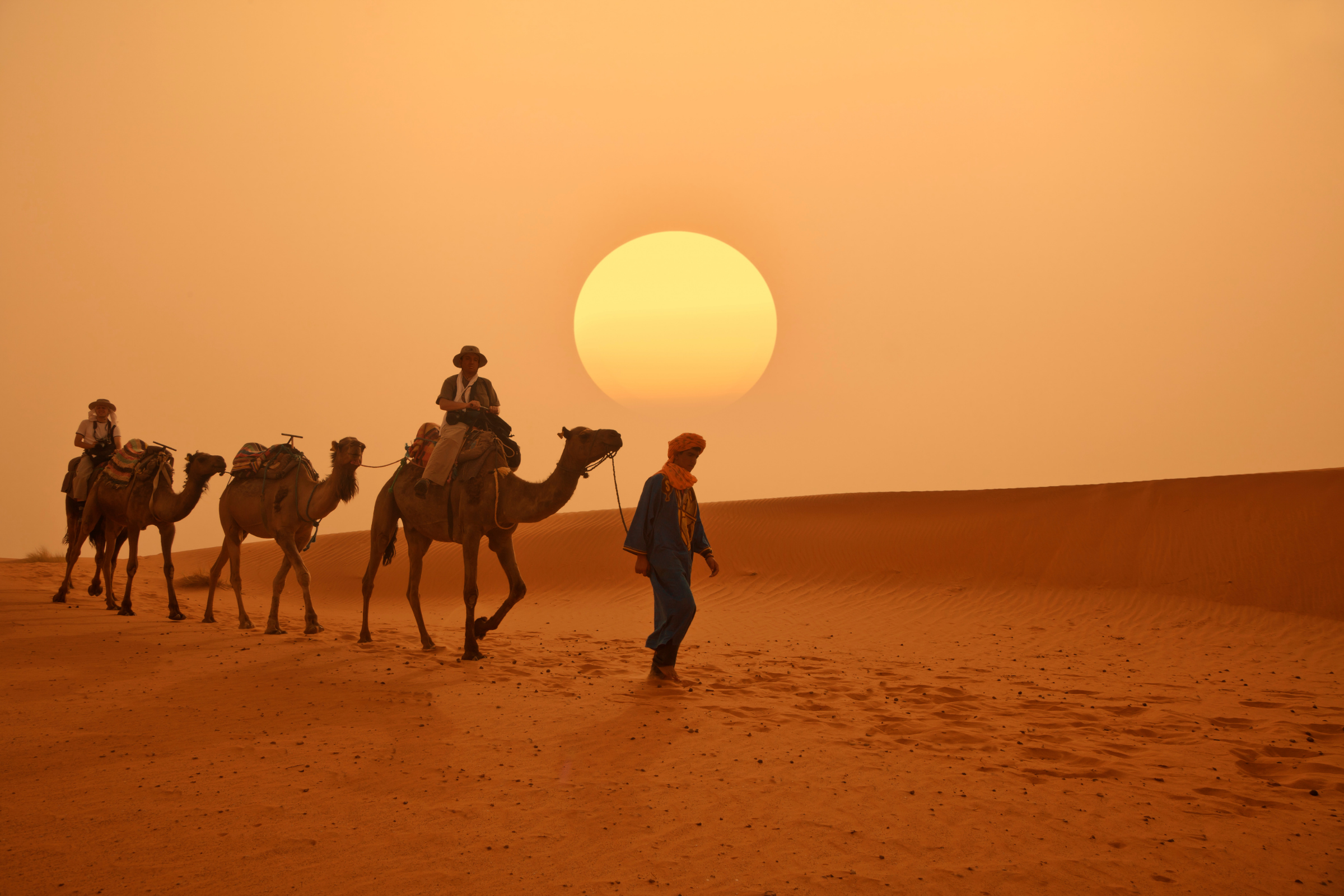 meknès.webp