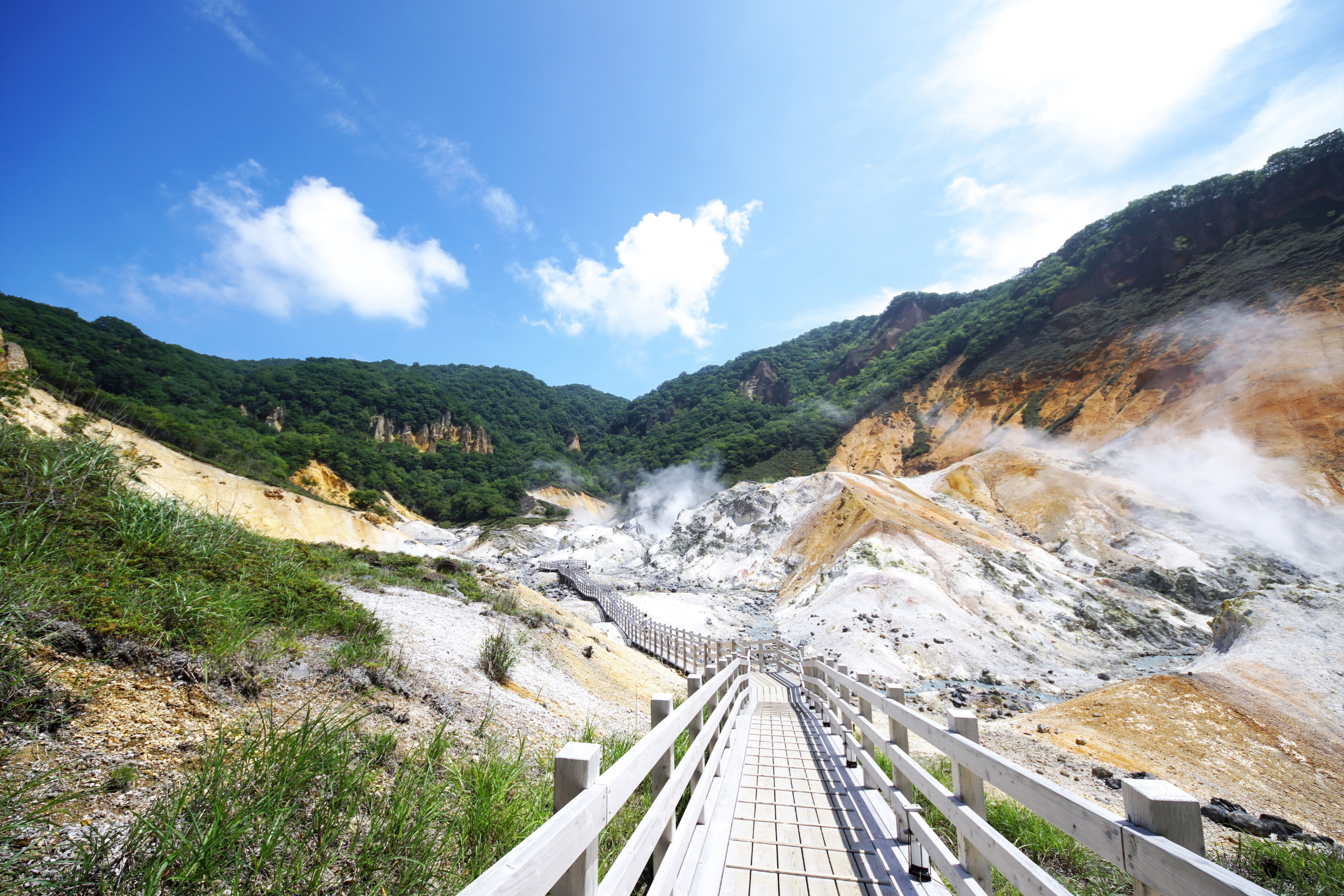 jigokudani.webp