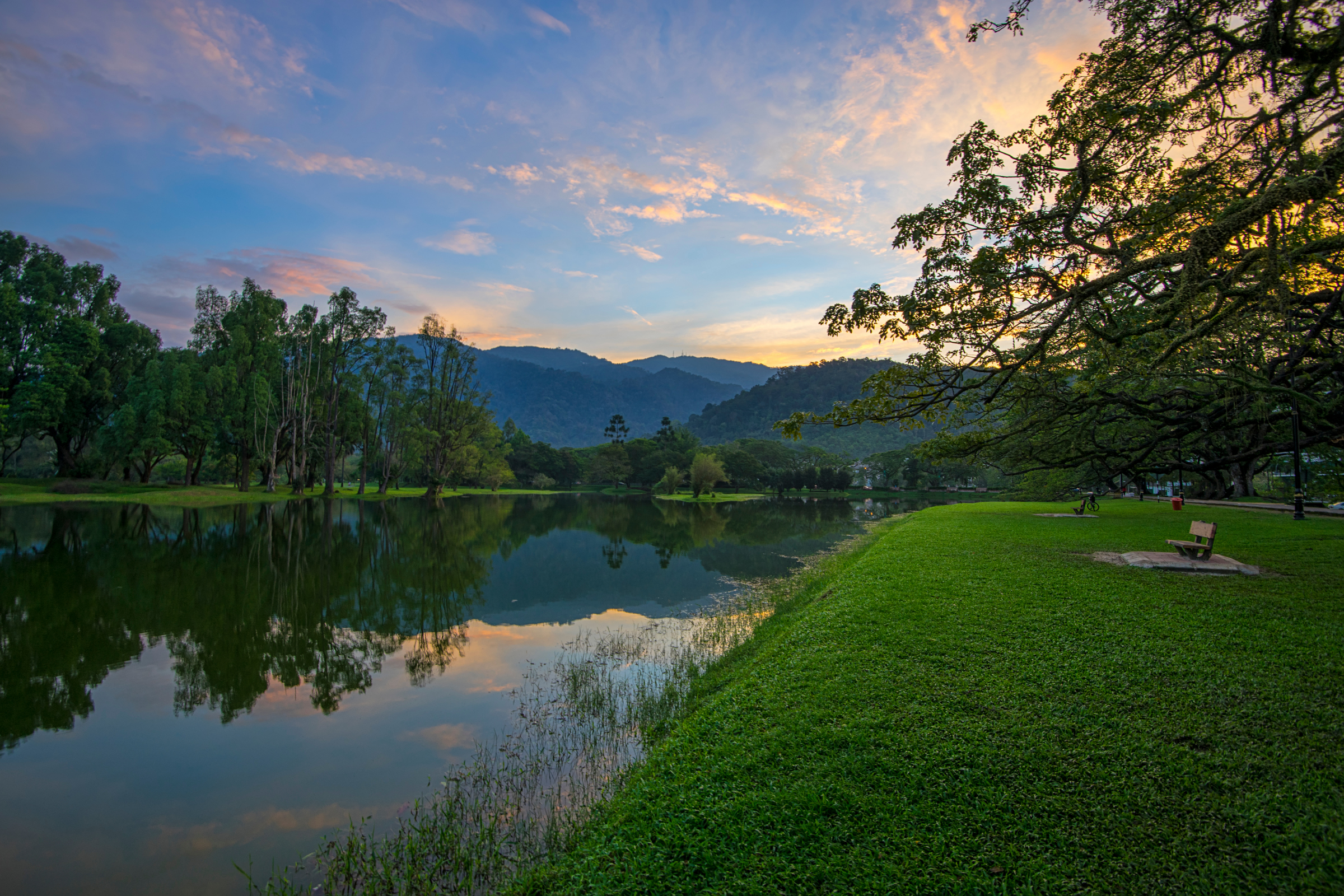 taiping.webp