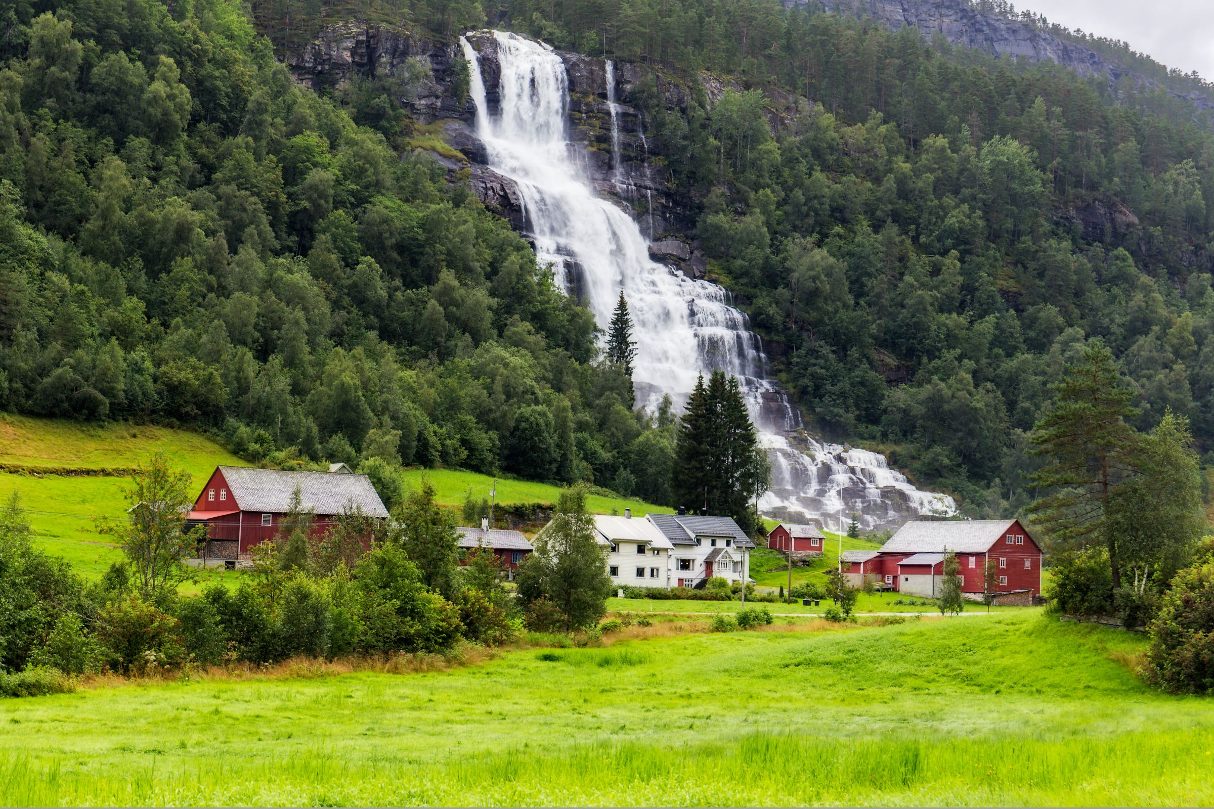 voss.webp