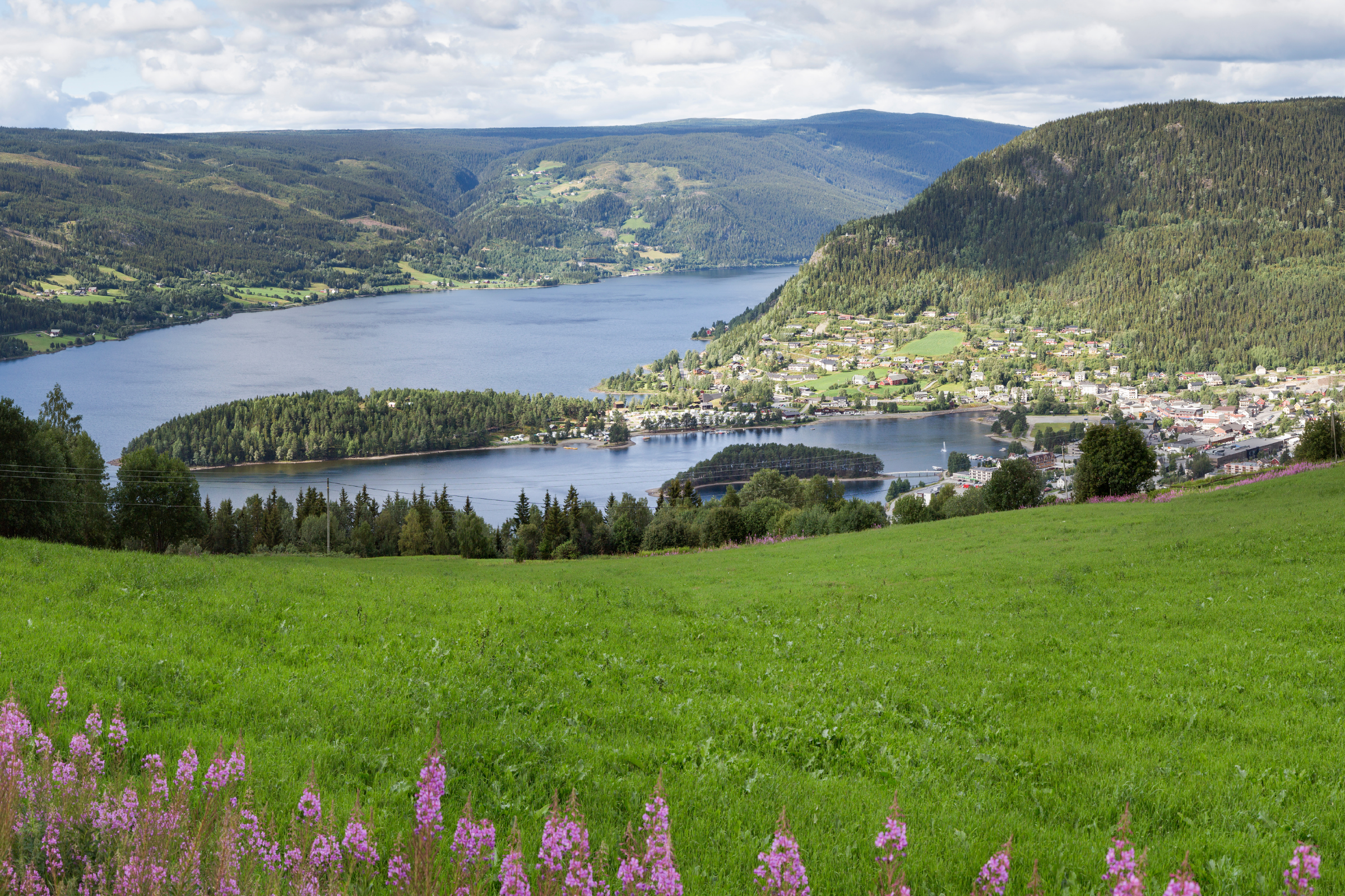 fagernes.webp