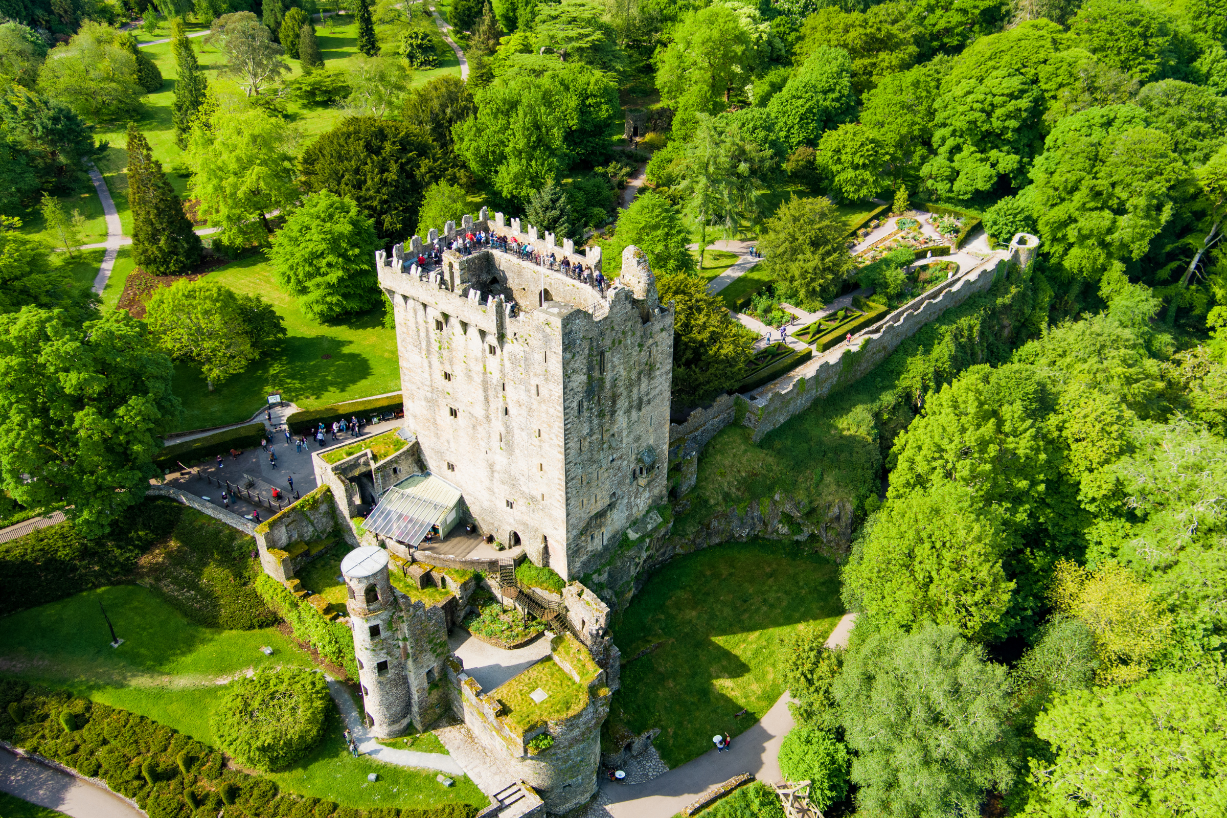 blarney.webp