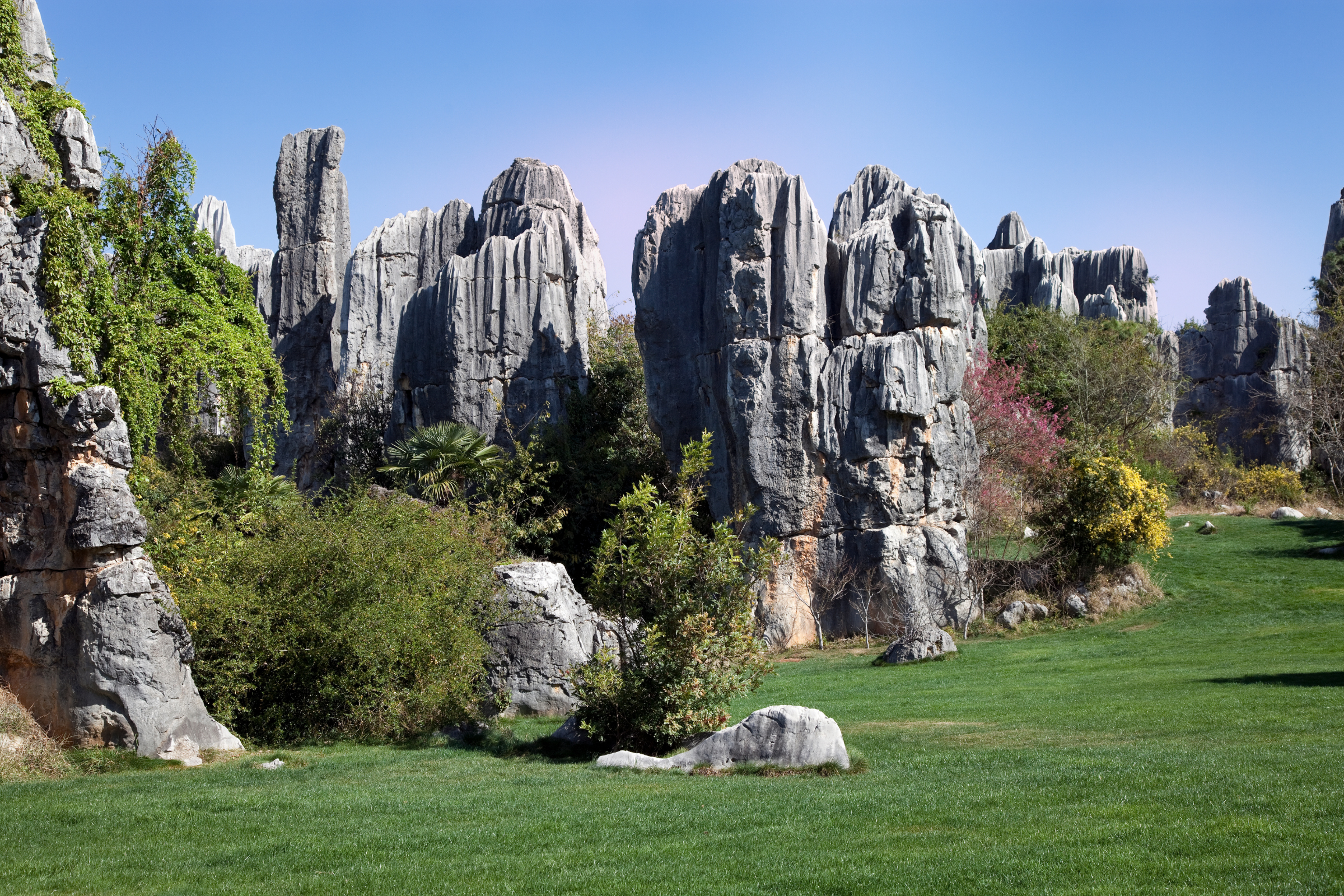 kunming.webp