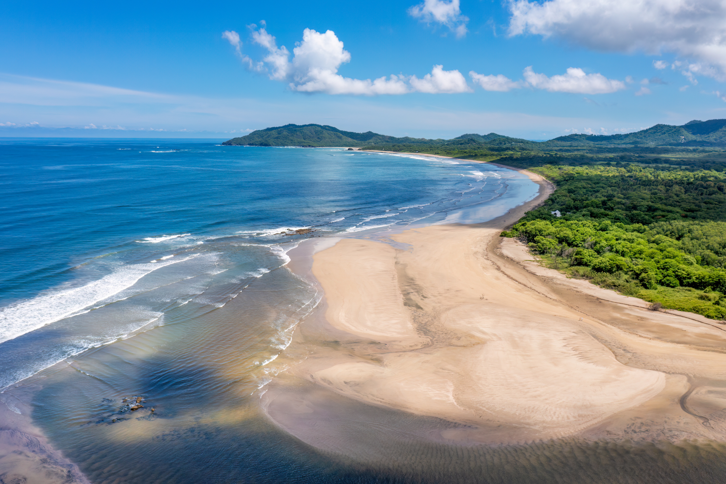 tamarindo.webp