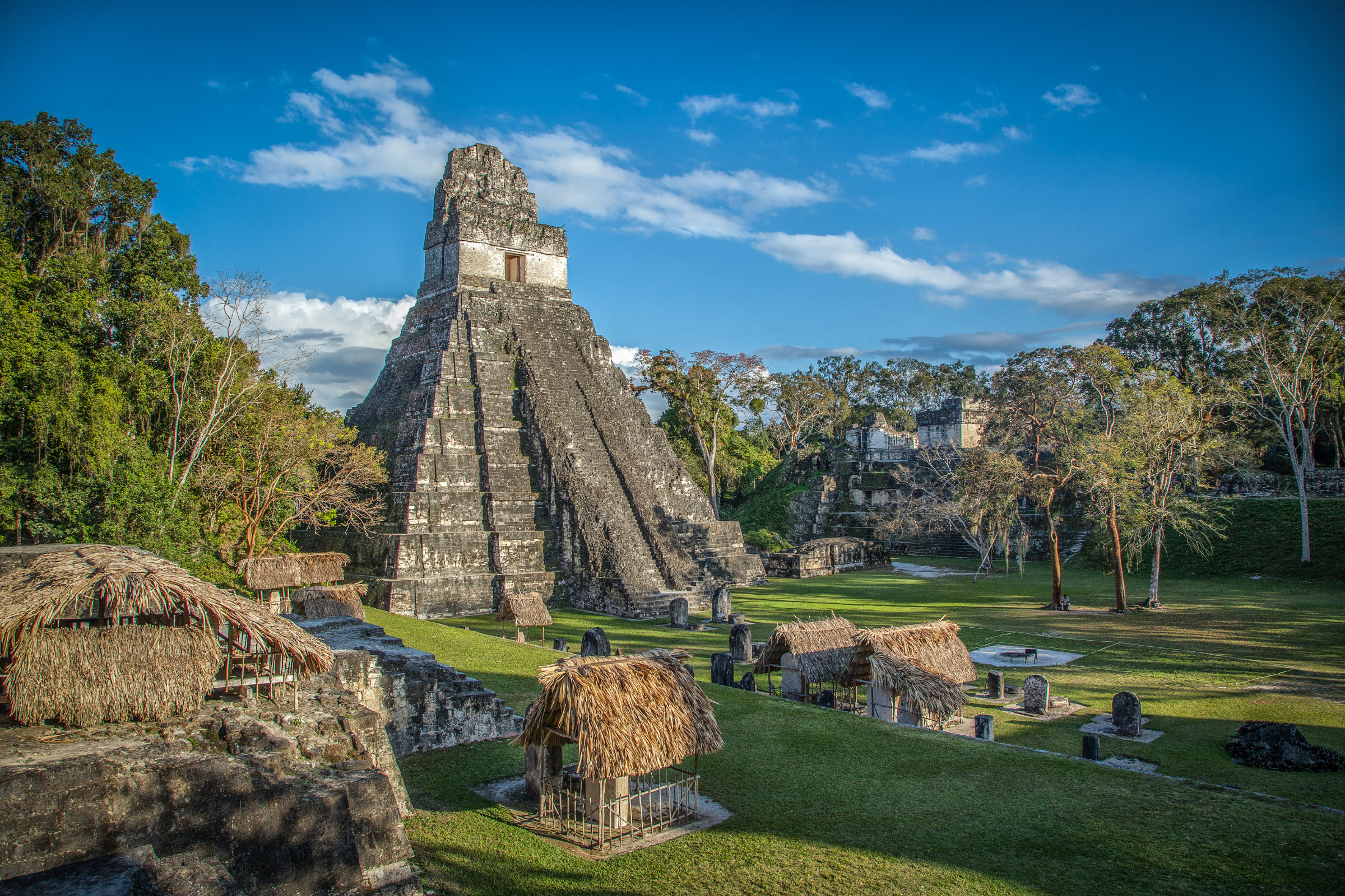 tikal.webp