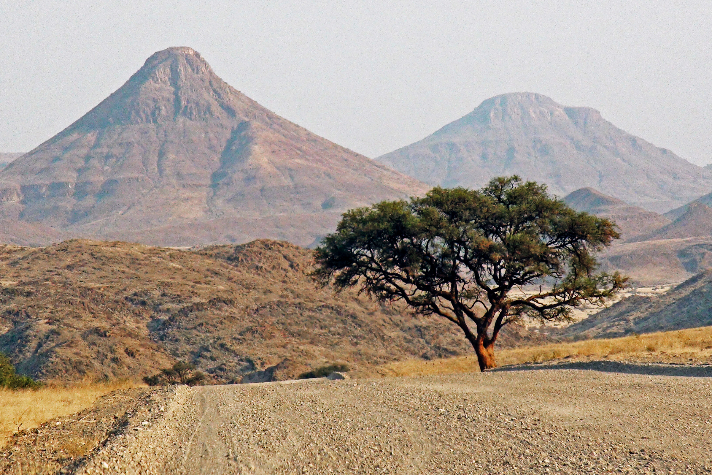 damaraland.webp