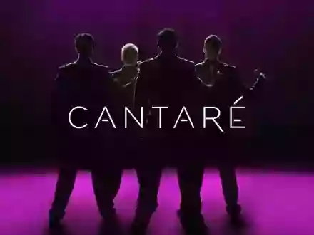 Cantaré