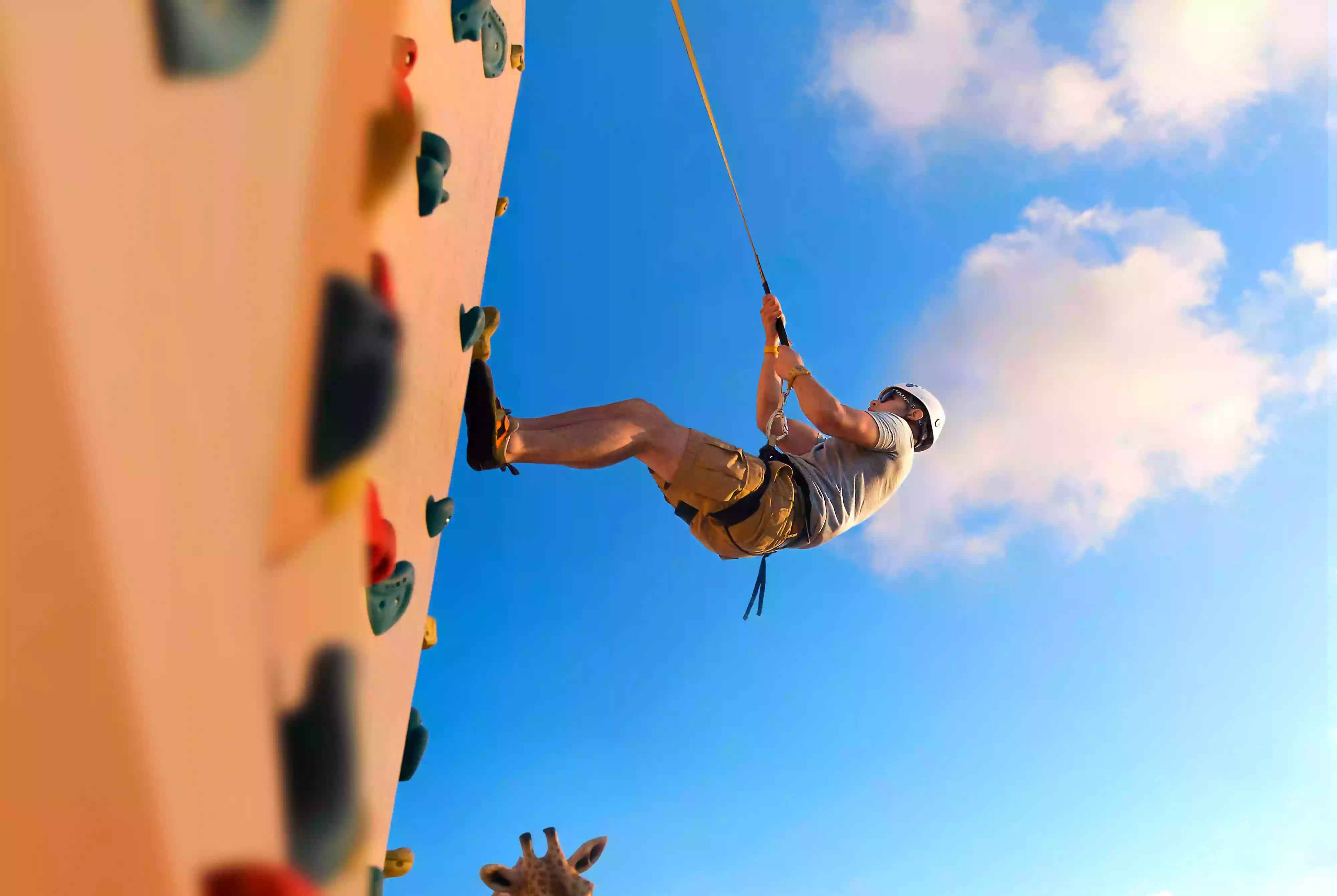 Rock Climbing Wall