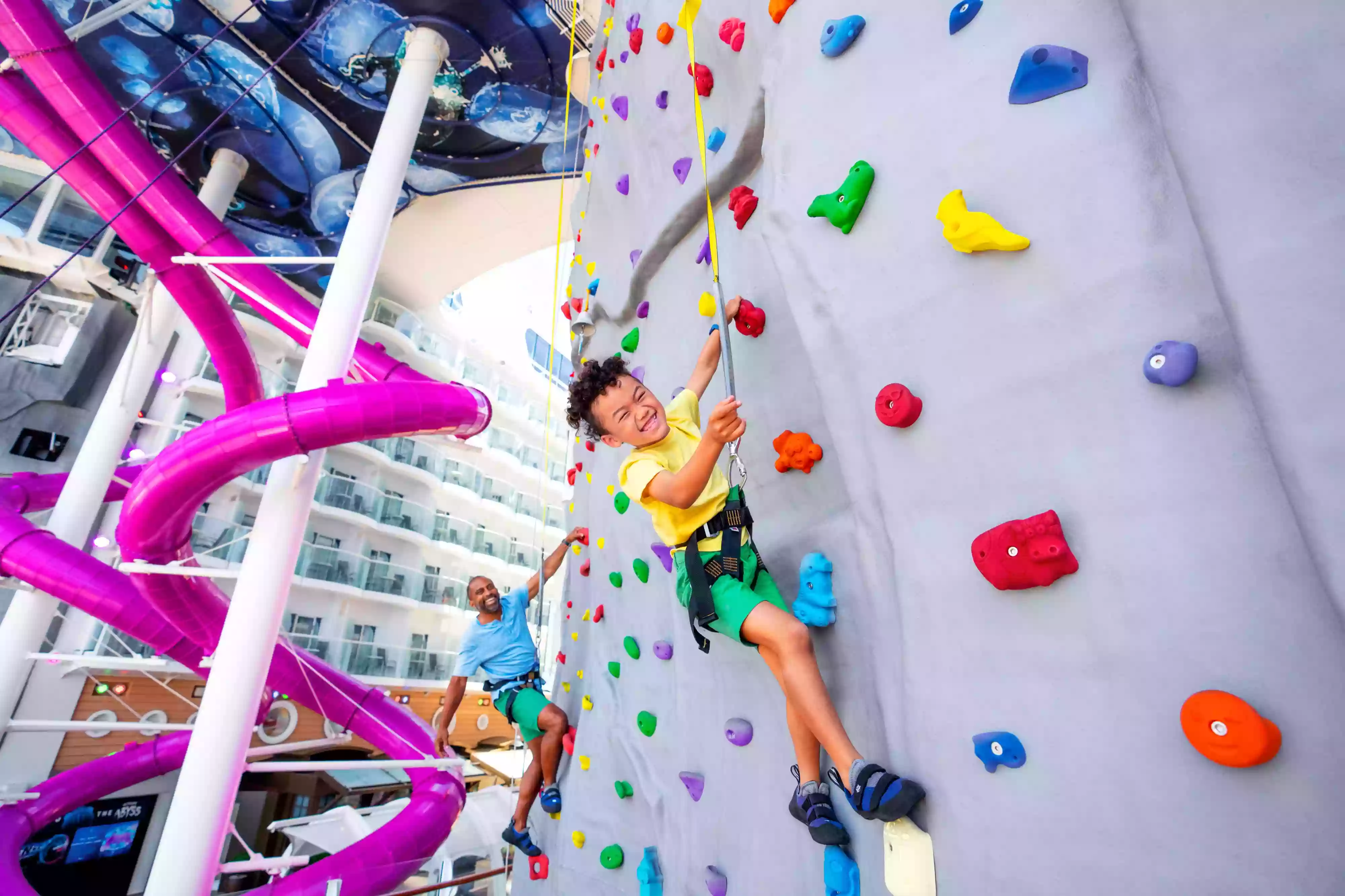 Rock Climbing Wall