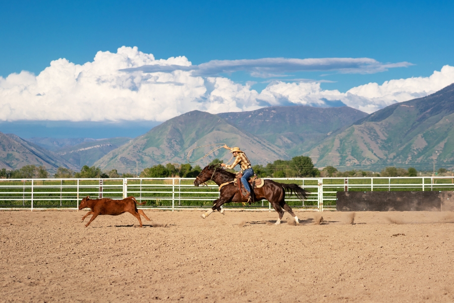 Texas Ranches & Western Caribbean Beaches Adventure – 13 Night Escape