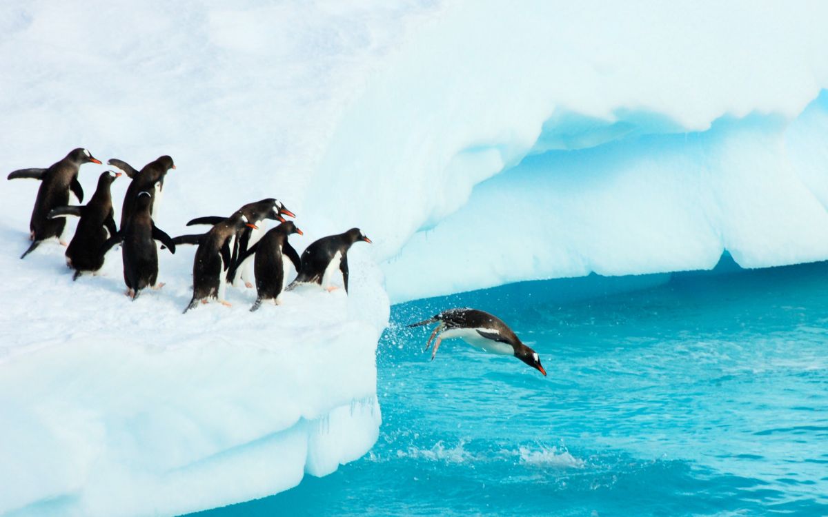 ANTARCTICA & SOUTH AMERICA: ARGENTINA, CHILE & BRAZIL GRAND VOYAGE INCL STAYS